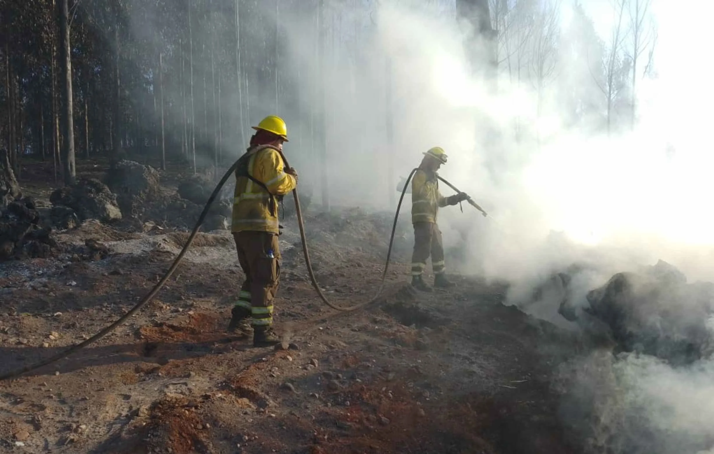 SENAPRED Ñuble declara Alerta Temprana Preventiva por alto riesgo de incendios forestales