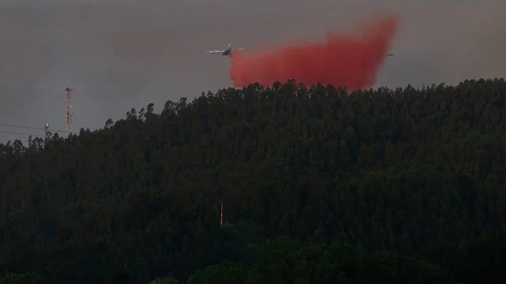Conaf reporta 18 incendios forestales en combate y más de 44 mil hectáreas afectadas