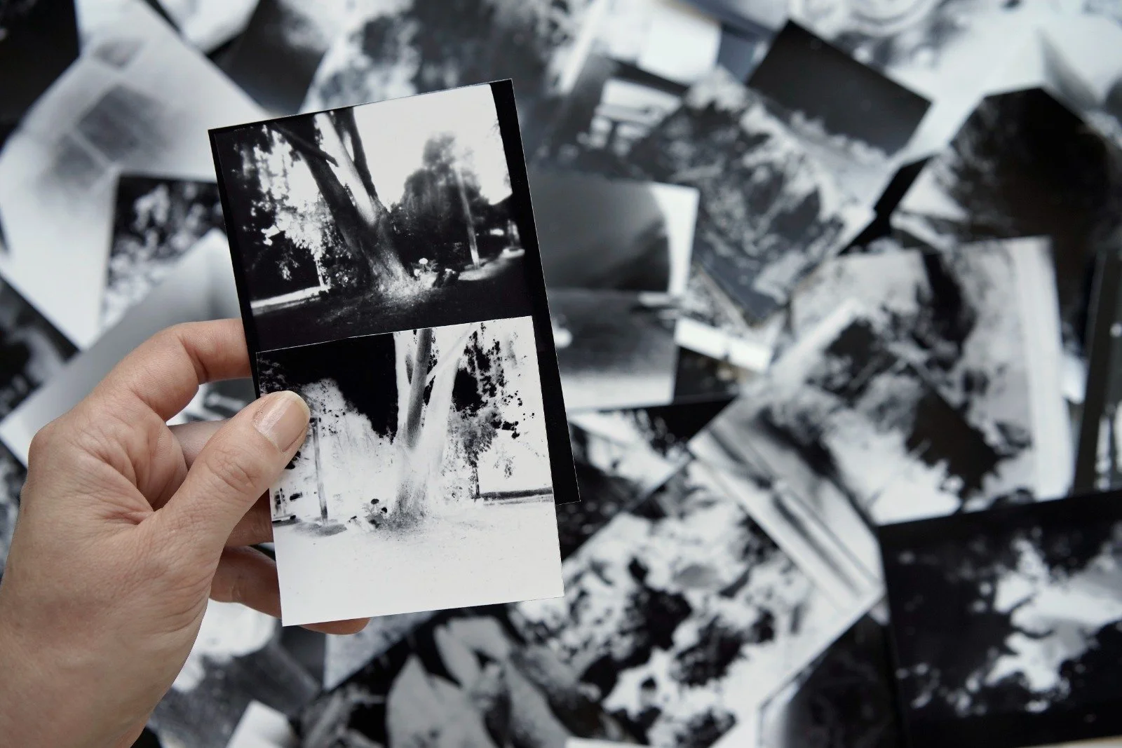 La Magia de la Fotografía Analógica: Un Espacio de Encuentro y Revalorización Cultural en Pinto&nbsp;