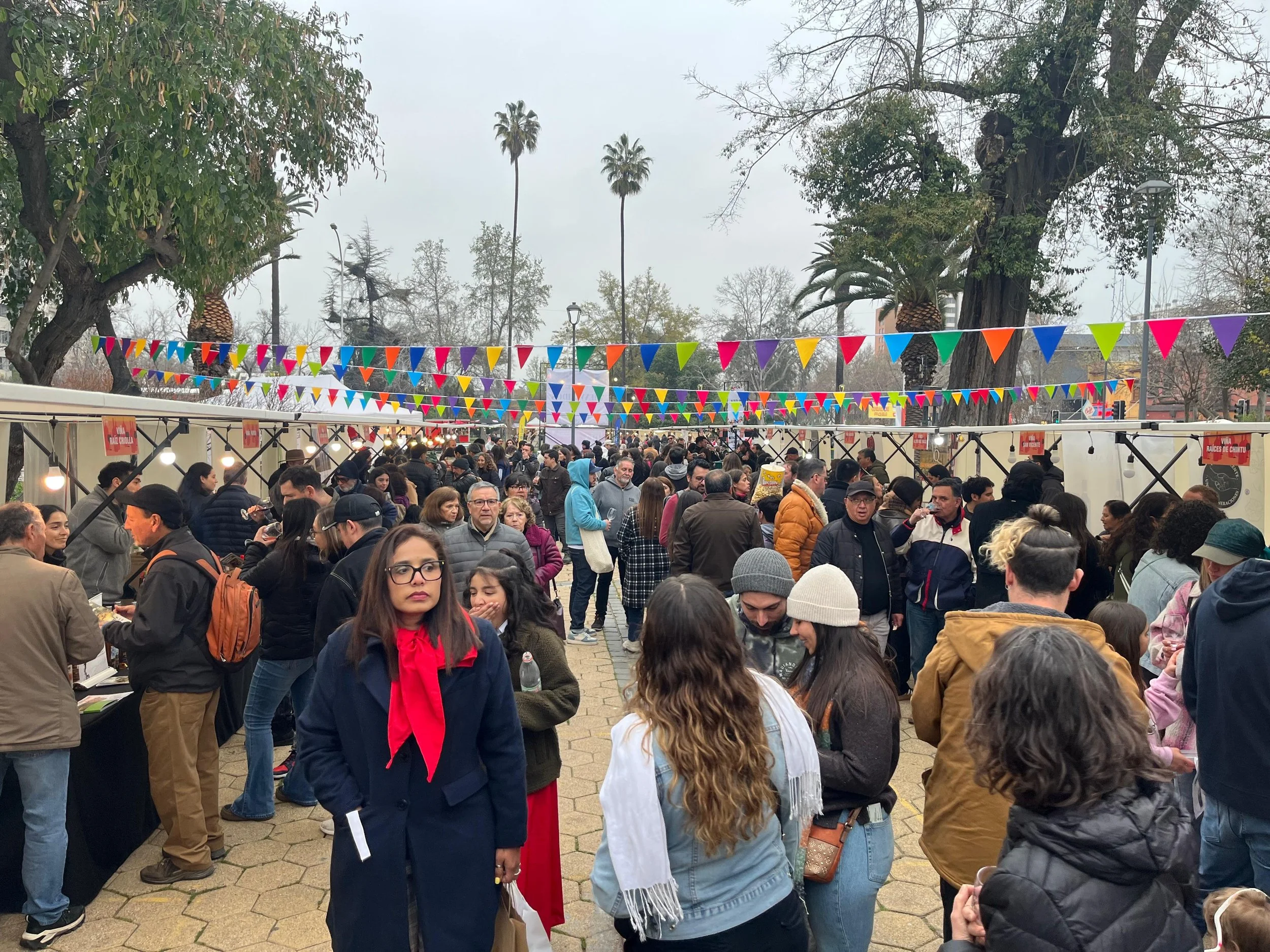 Ñuble regresa a Plaza Ñuñoa con la Santa Vendimia: vino, cultura y música para disfrutar