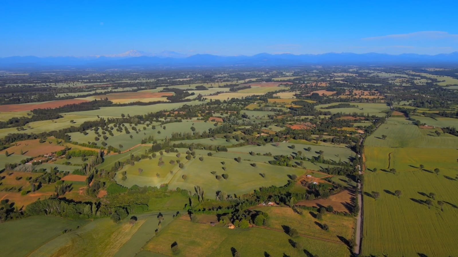 Productividad agrícola en riesgo: Asociación Laja-Diguillín advierte impacto de alza de combustibles