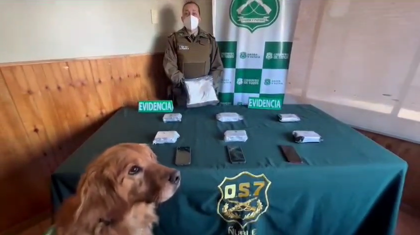 Viajaban en bus con más de 2 kilos de Cocaína y Ketamina: Carabineros de OS7&nbsp;Ñuble detuvo a un hombre y Mujer por tráfico de drogas en control carretero