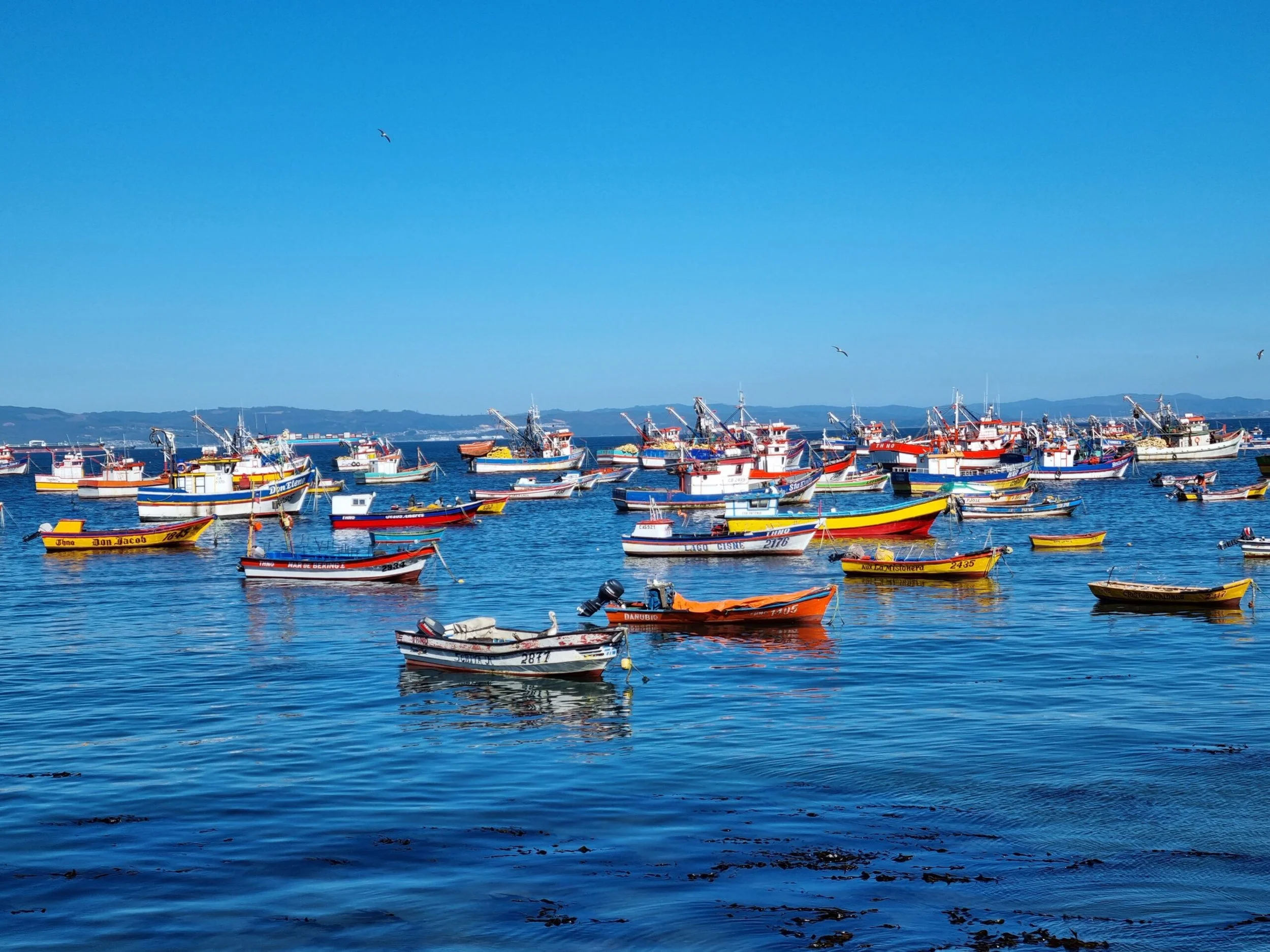 Subpesca monitorea impacto del alza de combustible en la pesca artesanal y evalúa medidas