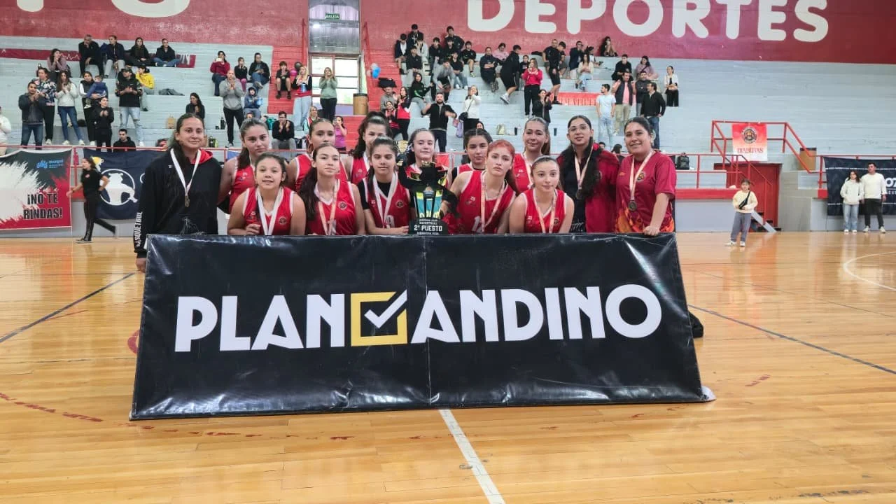 Jóvenes basquetbolistas&nbsp; de Ñuble dejan Huella en torneo Internacional de Argentina&nbsp;