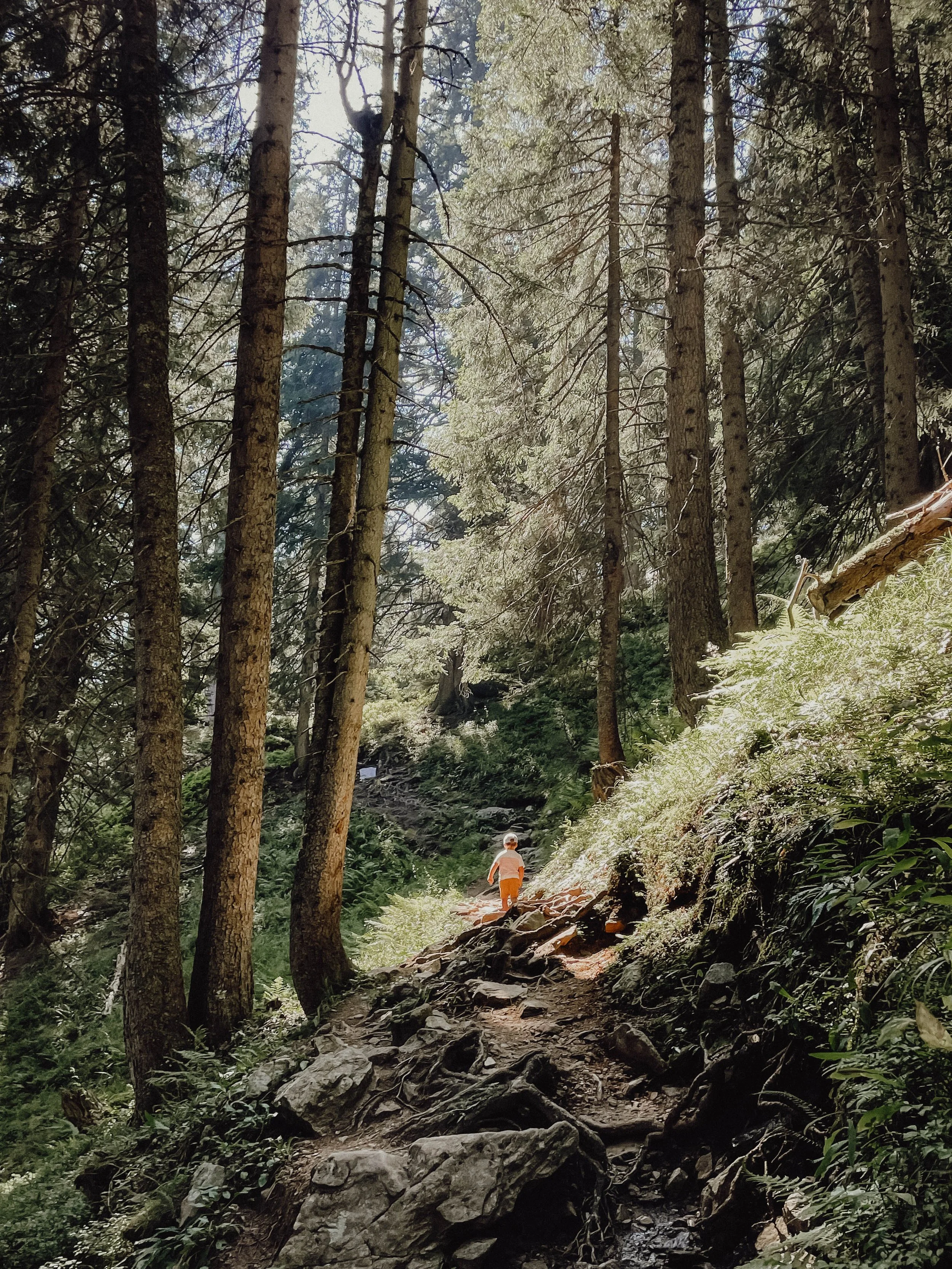 Nature, enfance et liberté