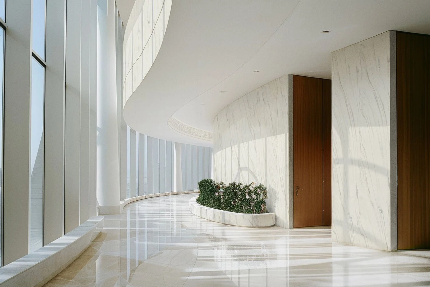 Modern interior with curved white marble walls, large windows, a circular plant bed with green bushes, and a wooden door.
