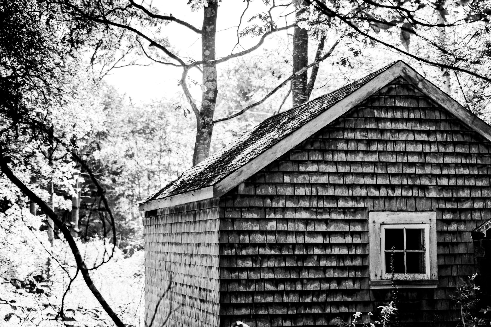 Maine Cabin