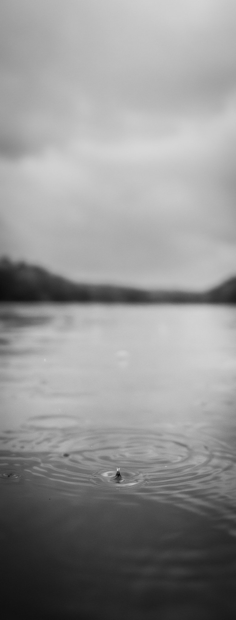 Ripple Effect