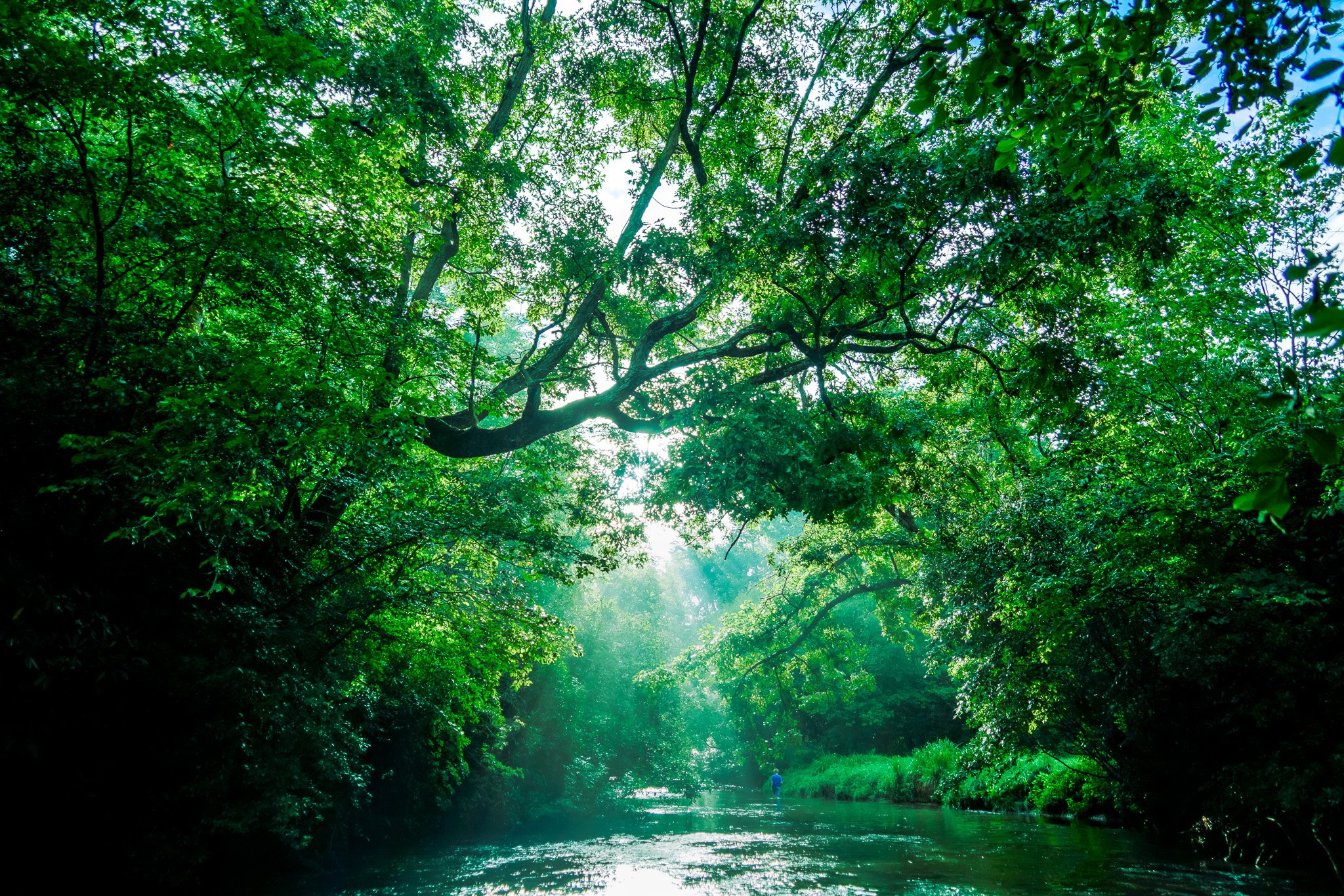 Hemptown Creek