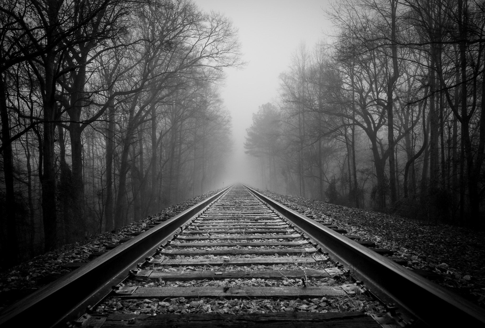 The Rails