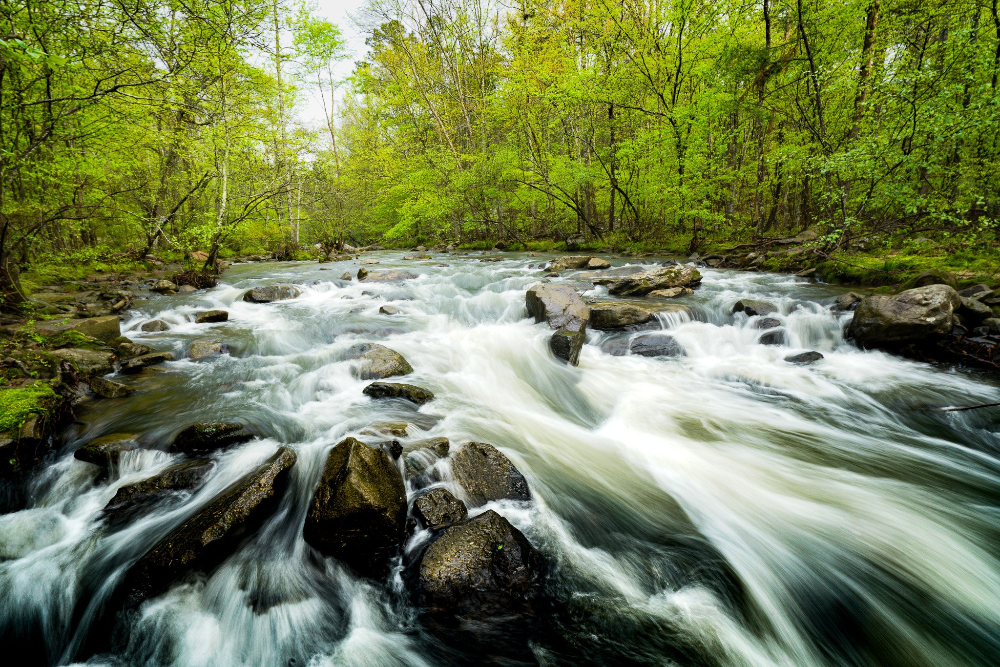 Yellowleaf Creek