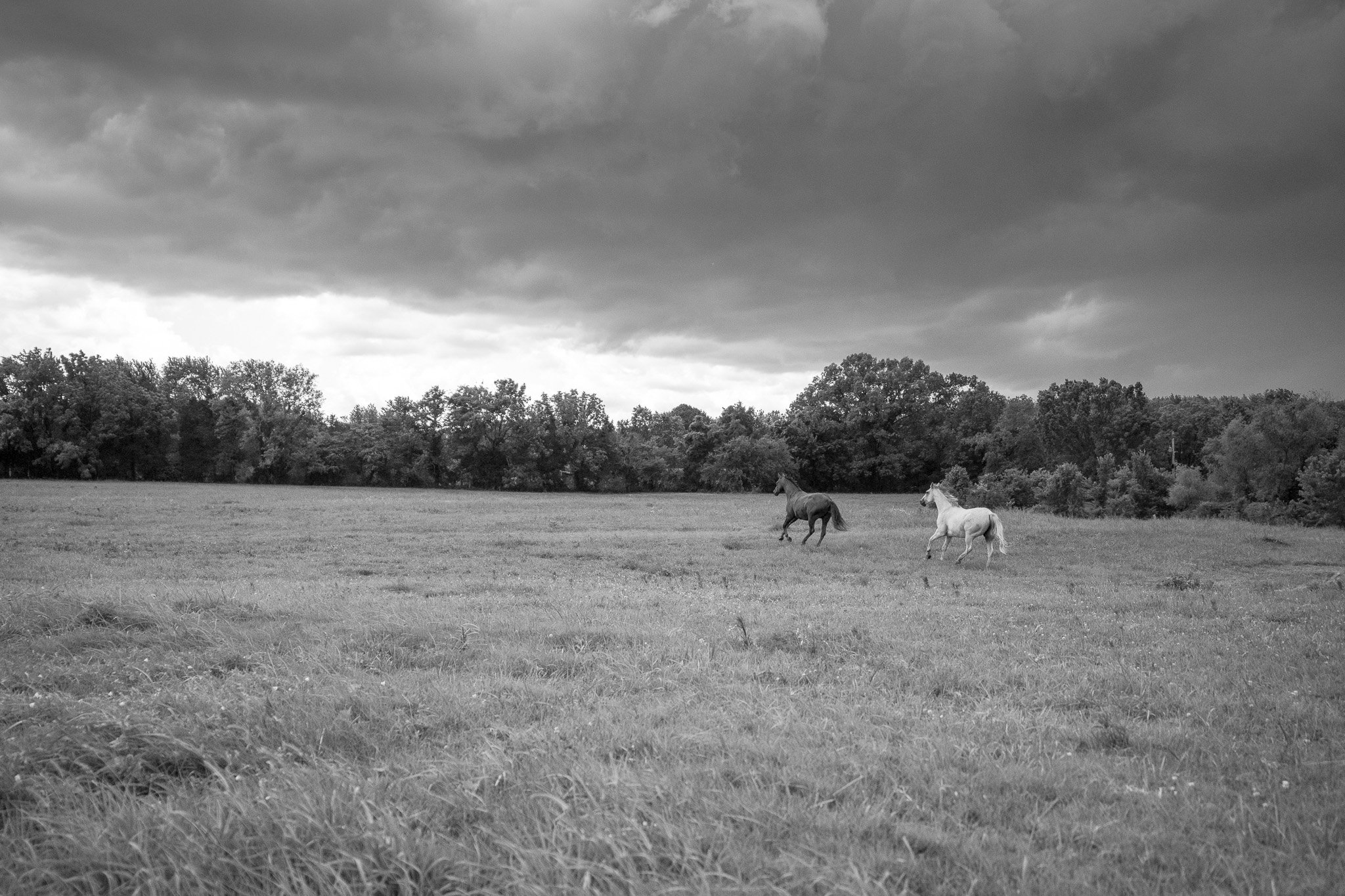 Running Free