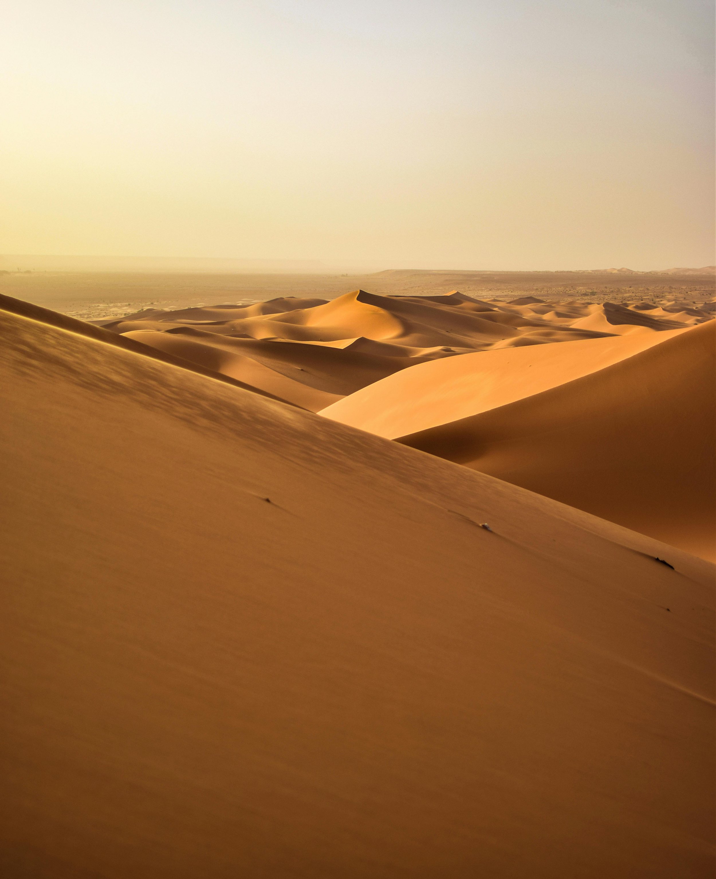 algeria.jpg