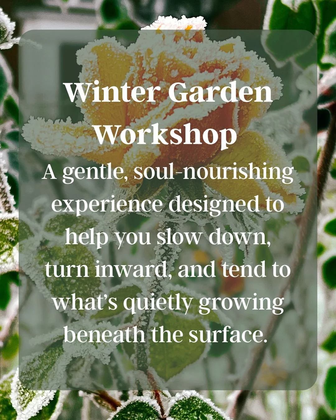 Winter Garden Workshop