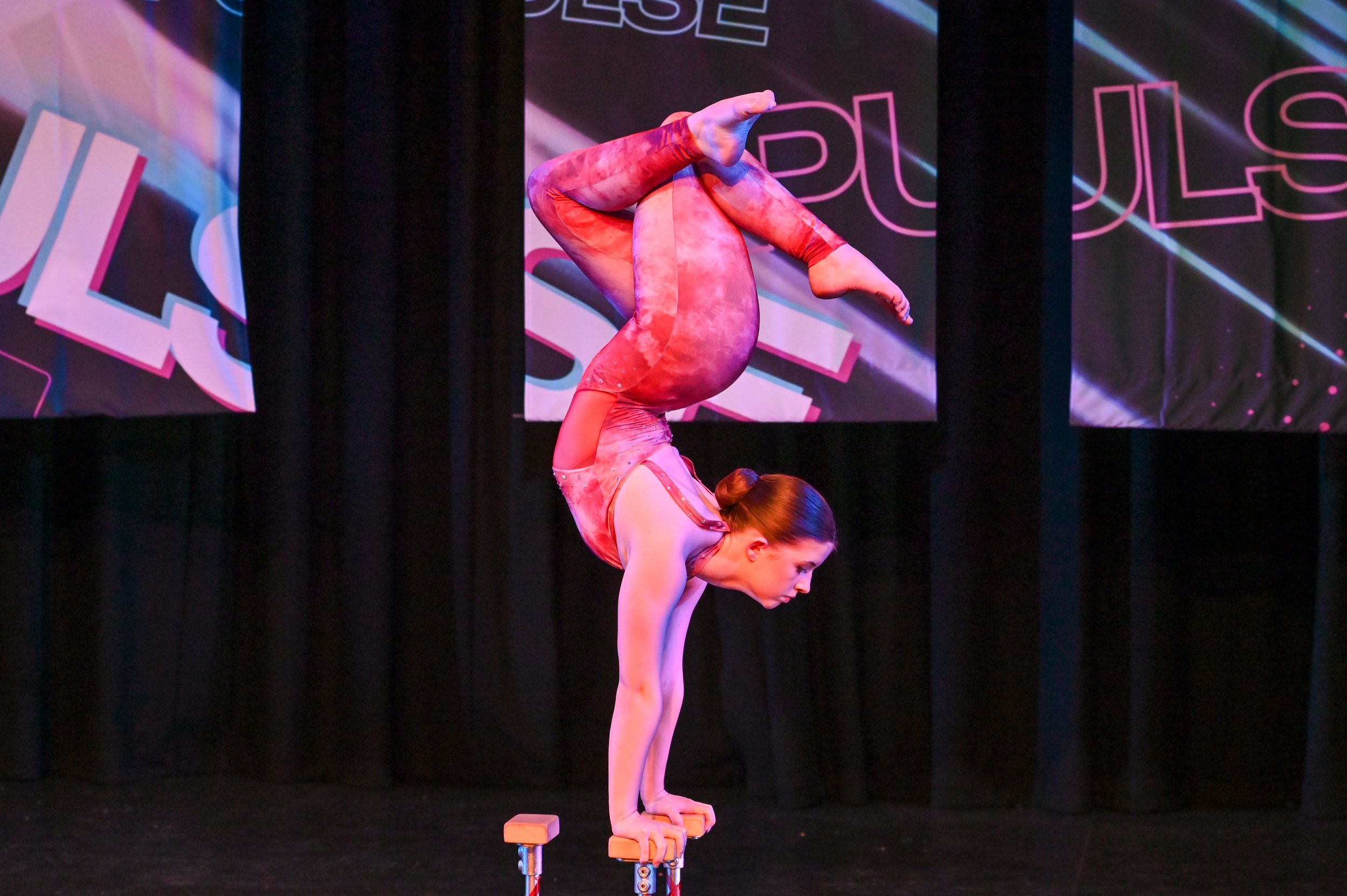 PULSE_DSC_0157.jpg