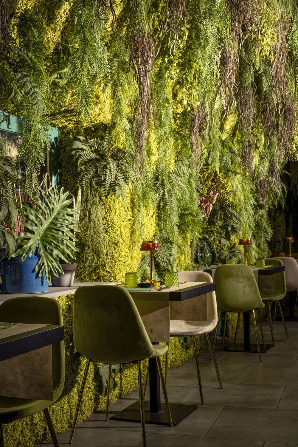 botanico_ (2).jpg