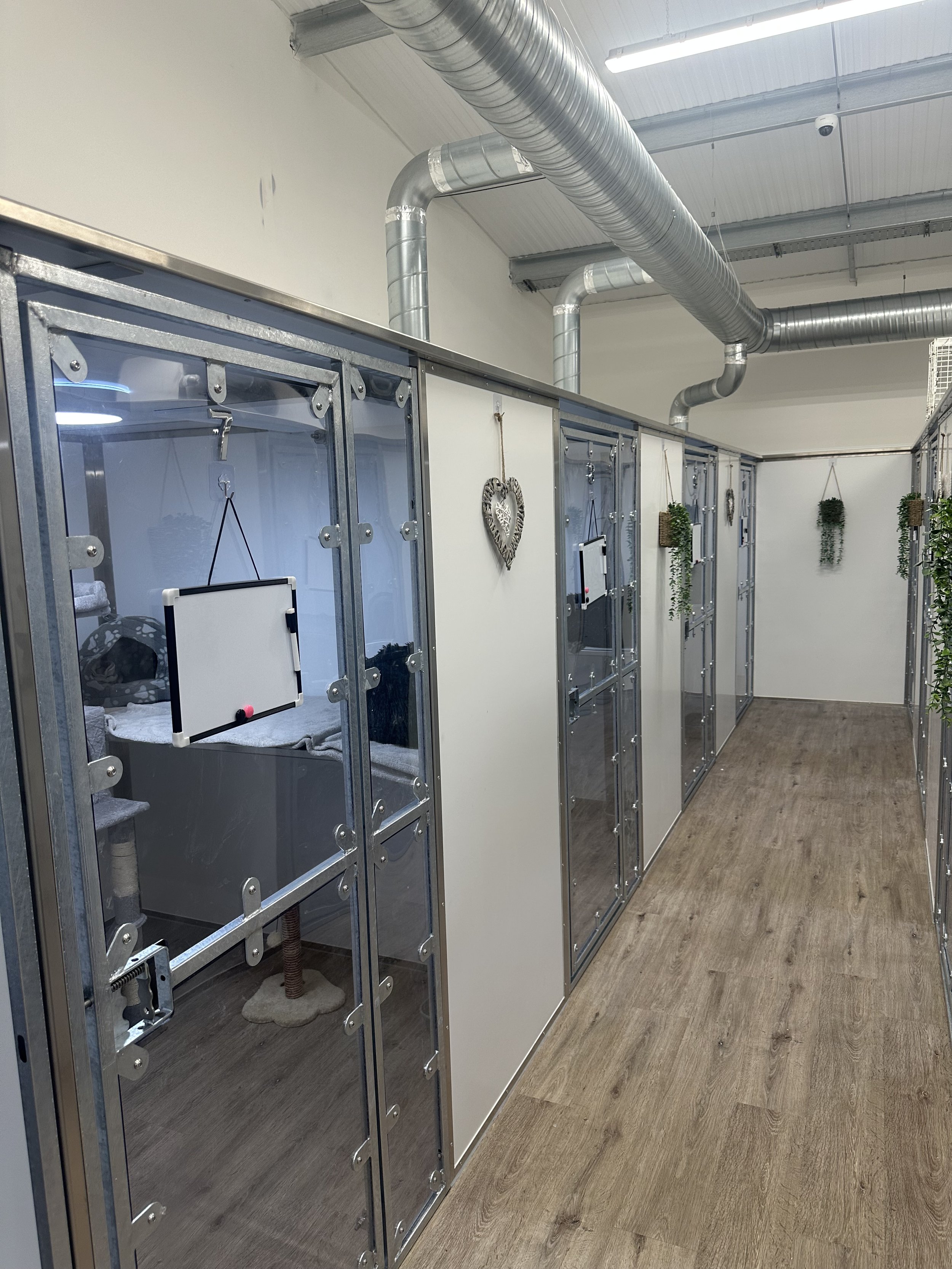 Cattery - Country Kennels