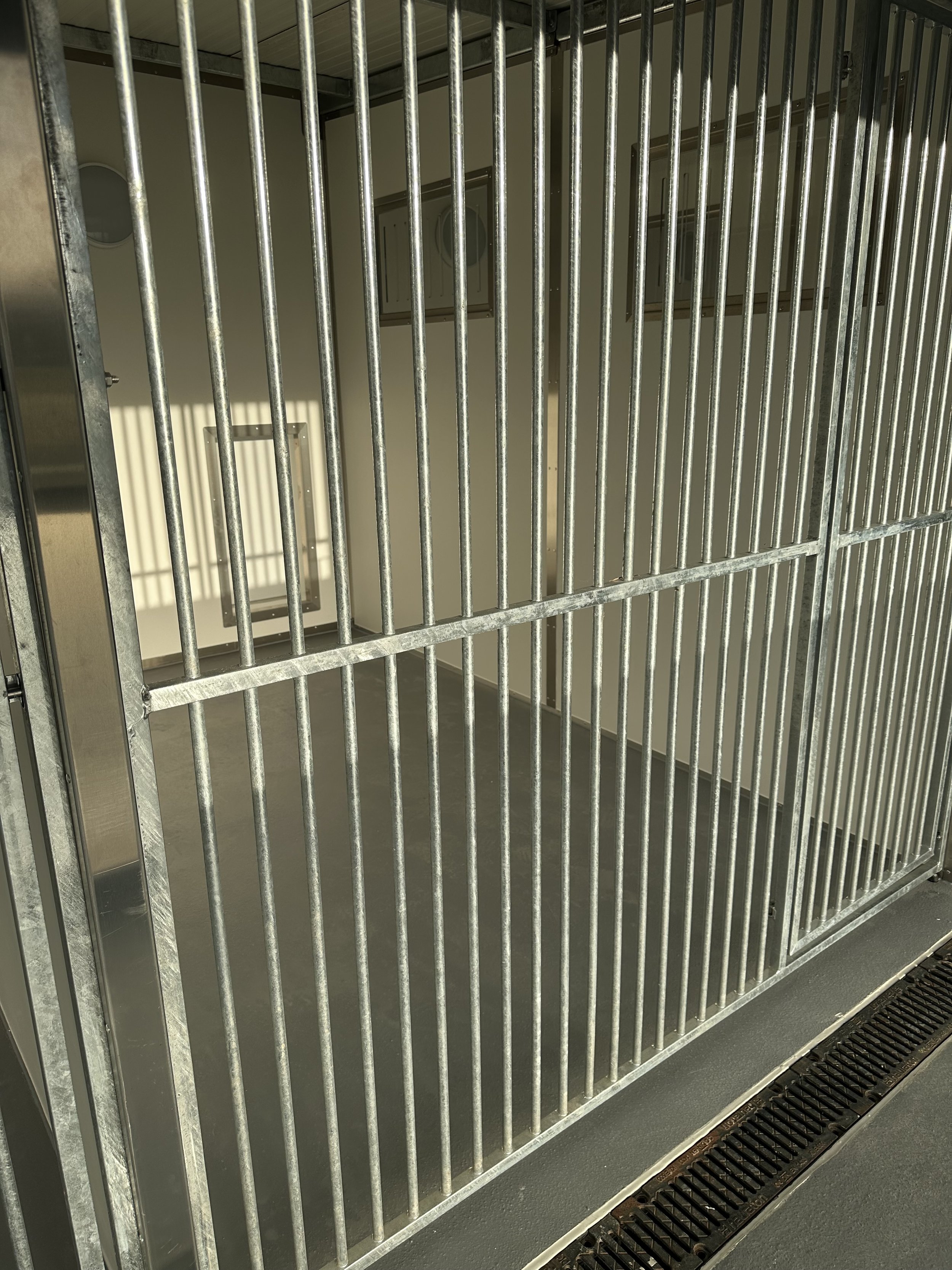 External Run - RSPCA Brighton