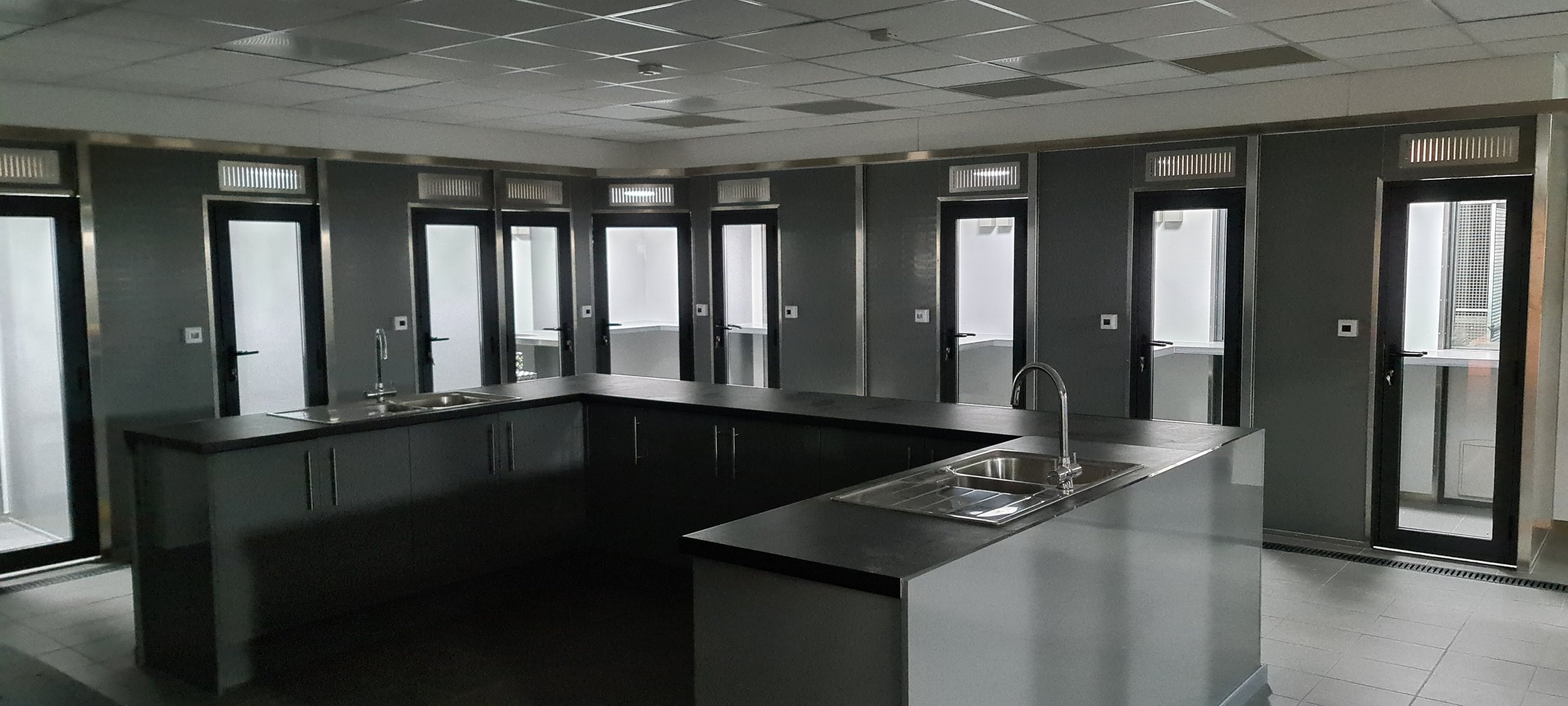 Cattery Kitchen - Carla Lane Animals In Need