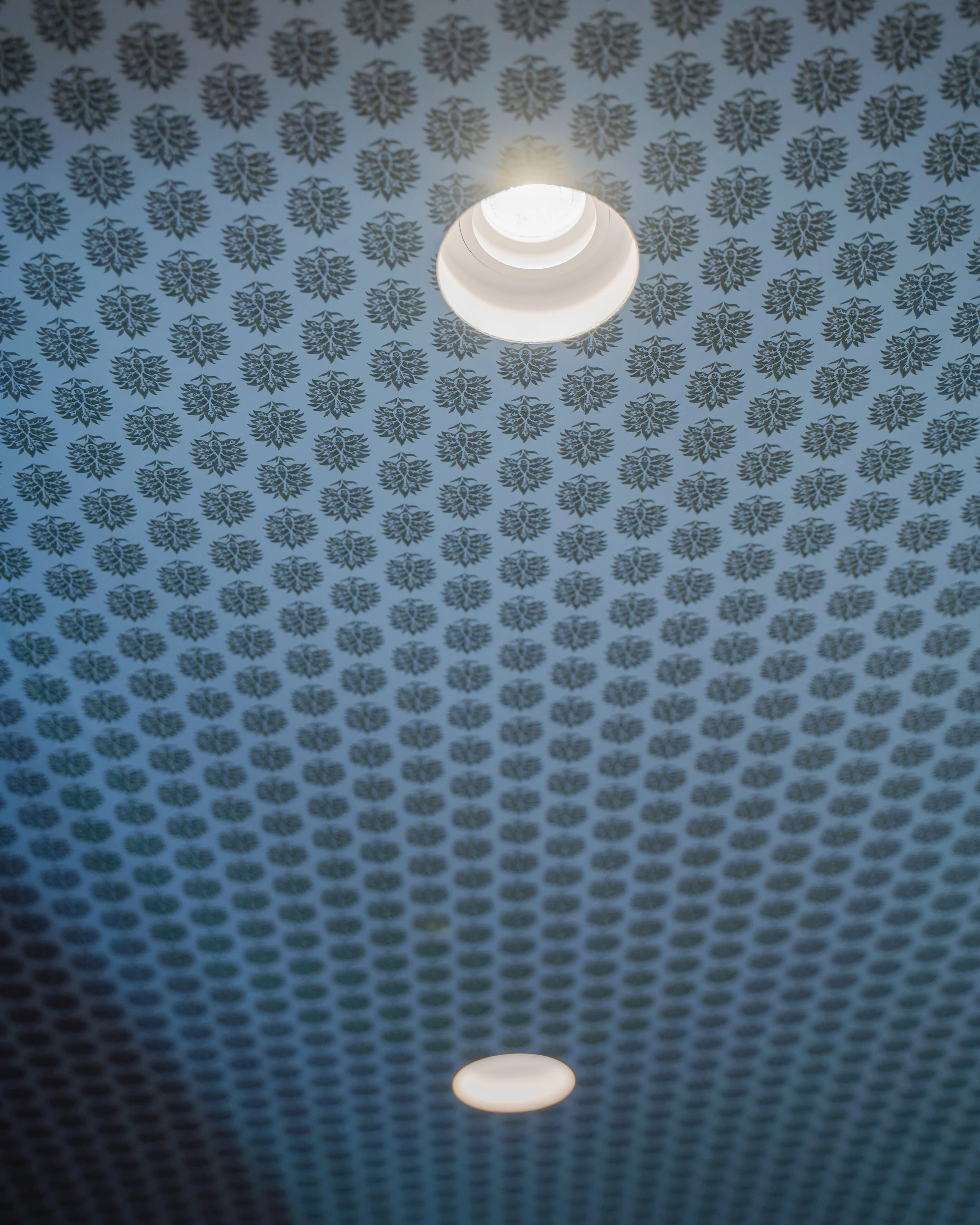 DSC00427.jpg