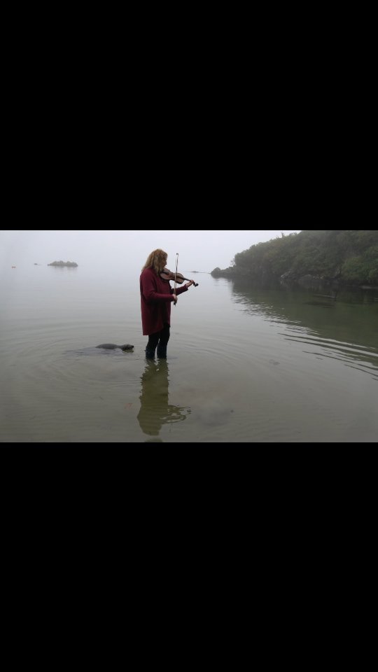 🦭 People of the Sea
In 2023 I wrote Muinntir na Mara (People of the Sea) for the @cantilenafestival on Islay, which described our relationship with seals and the impact this has within Scottish culture such as the Selkie. The violin melody was insp