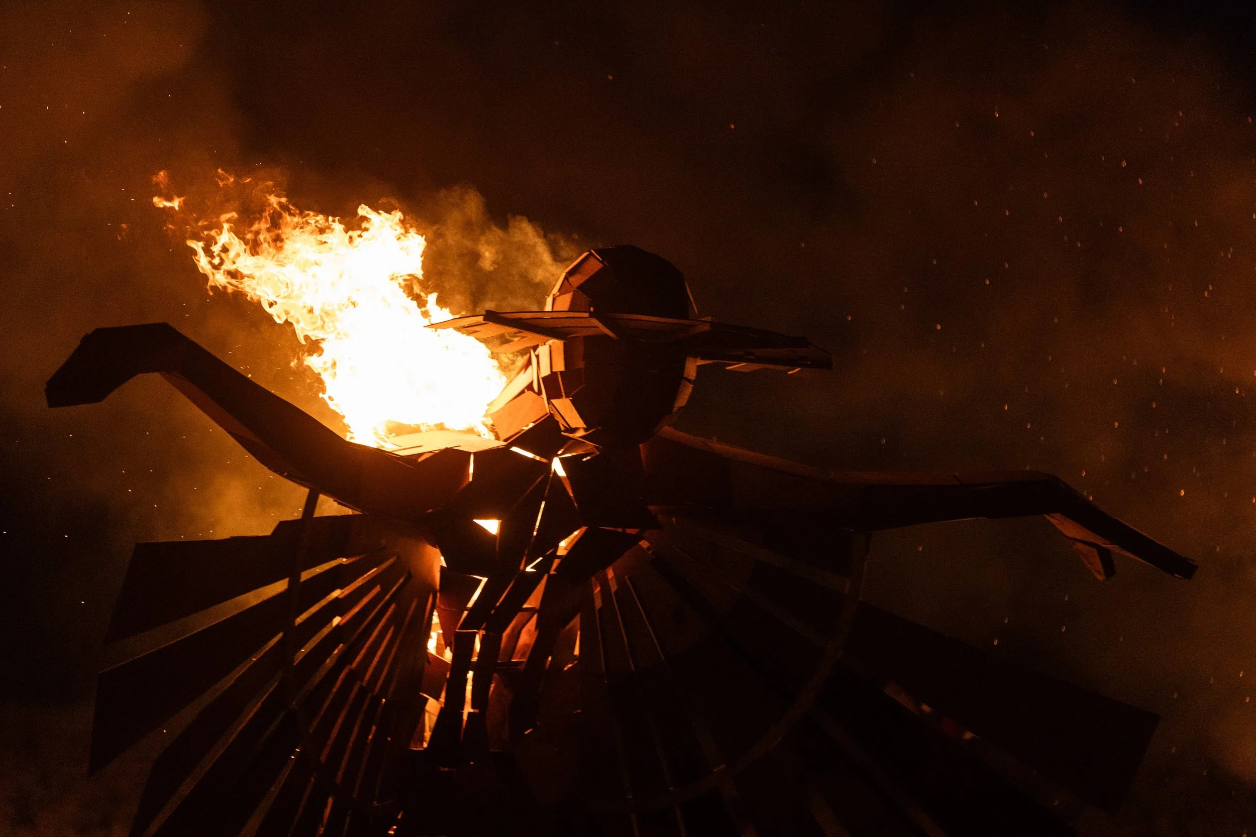 AfrikaBurn2025-20250503-8119.jpg