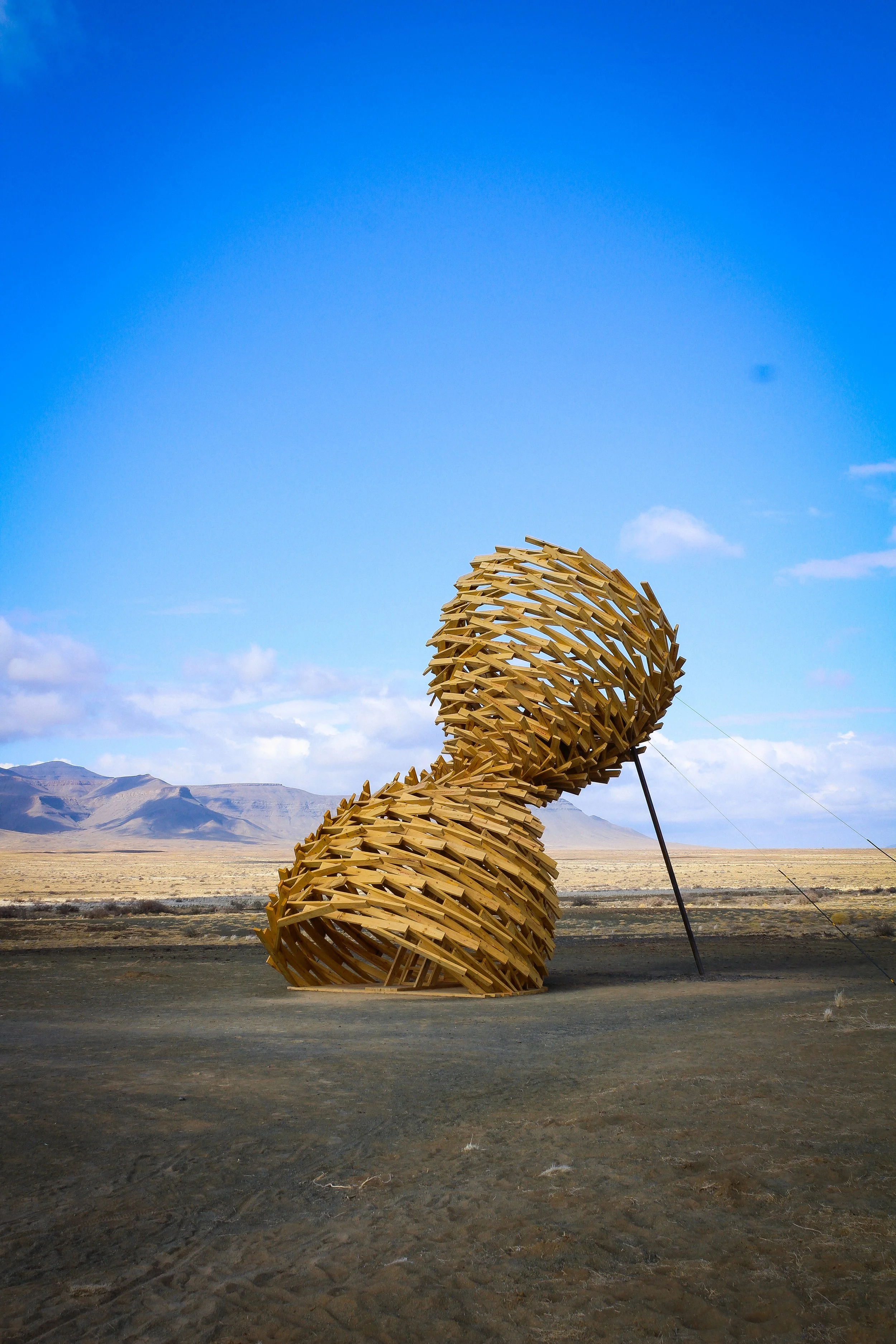 IMG_0970.jpg