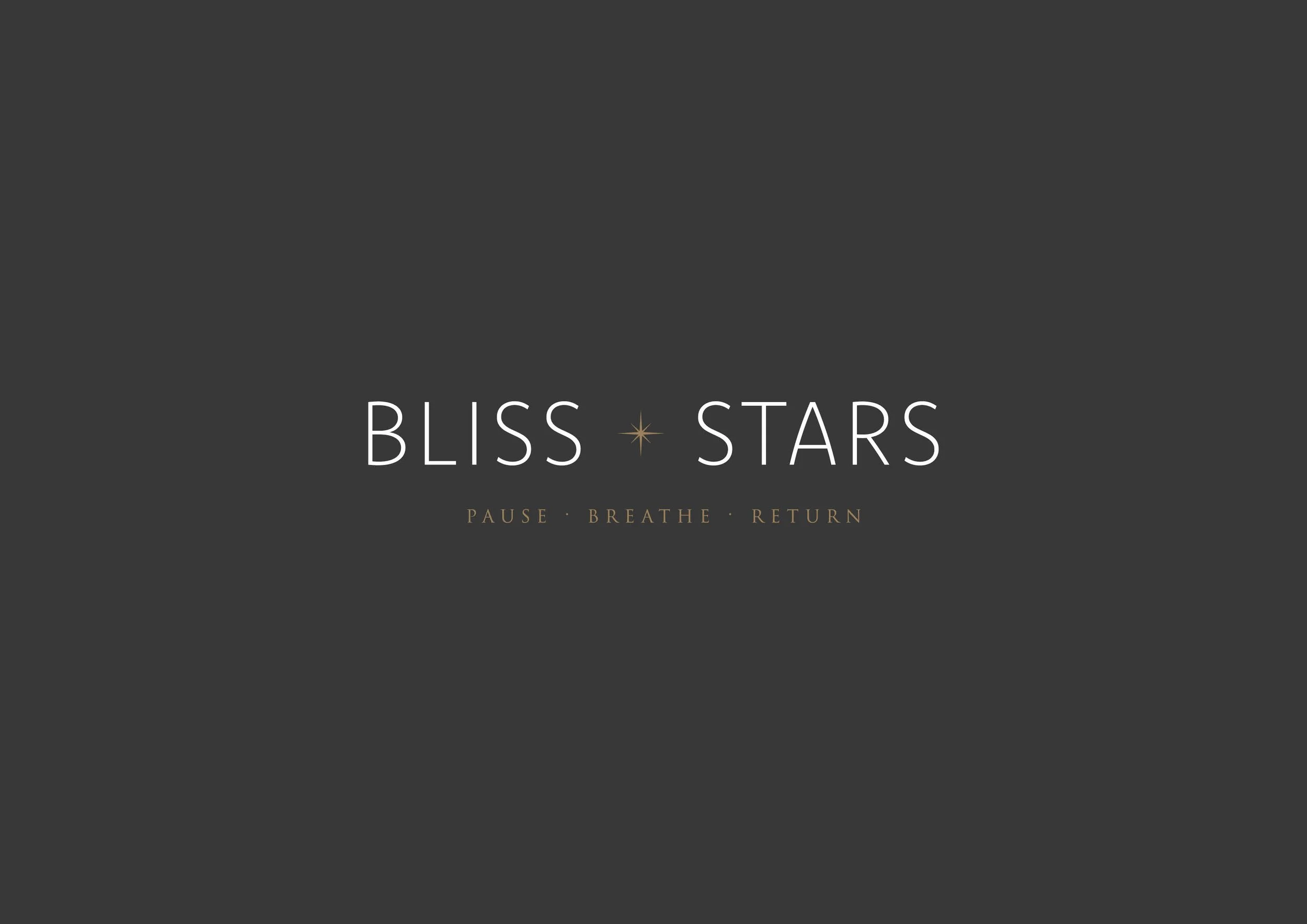 Meander Collective | Bliss and Stars | The Quiet Guide | V2.jpg
