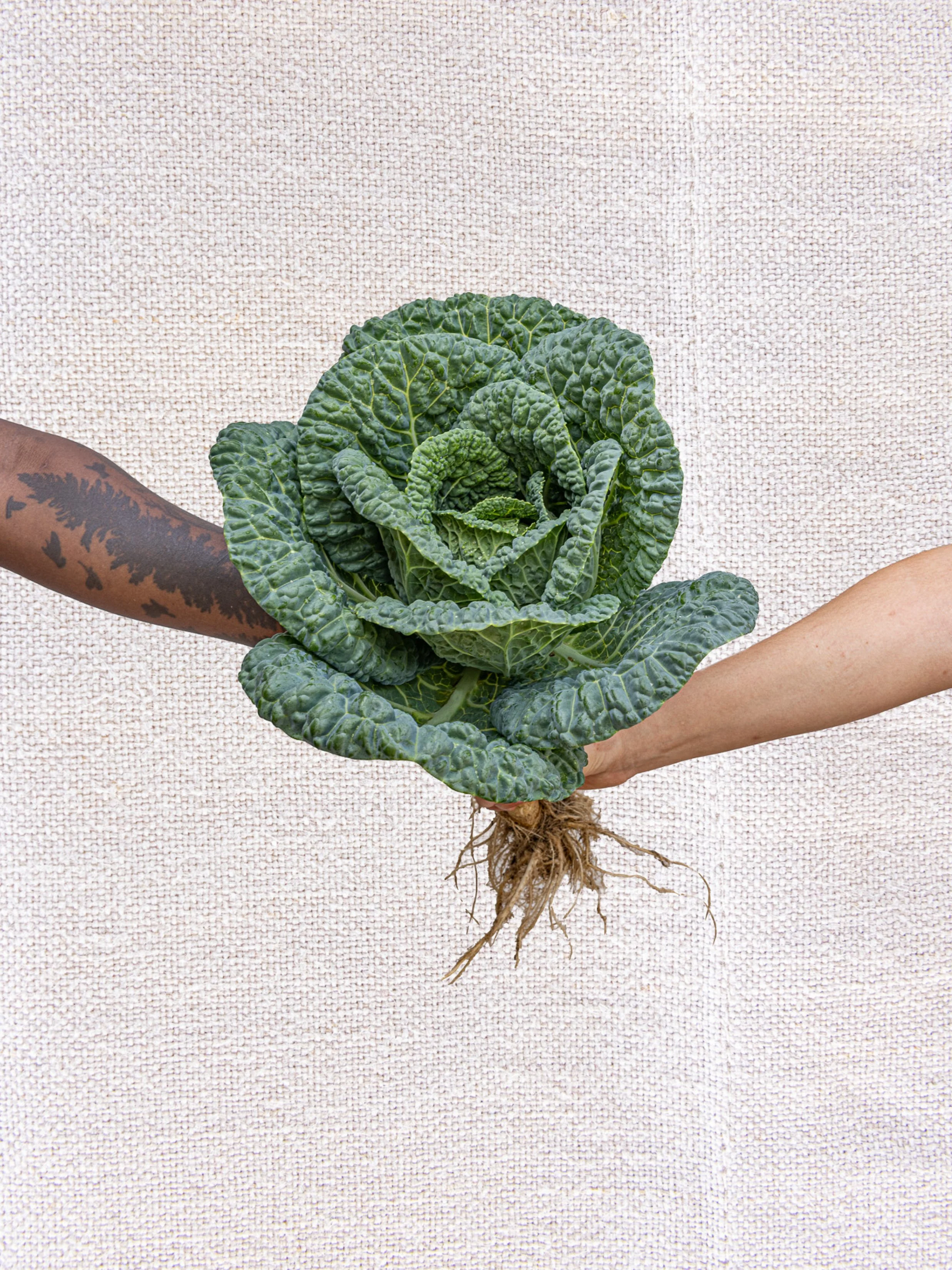 Meander Collective | Eat Yourself Happy | Print Ready 047.jpg