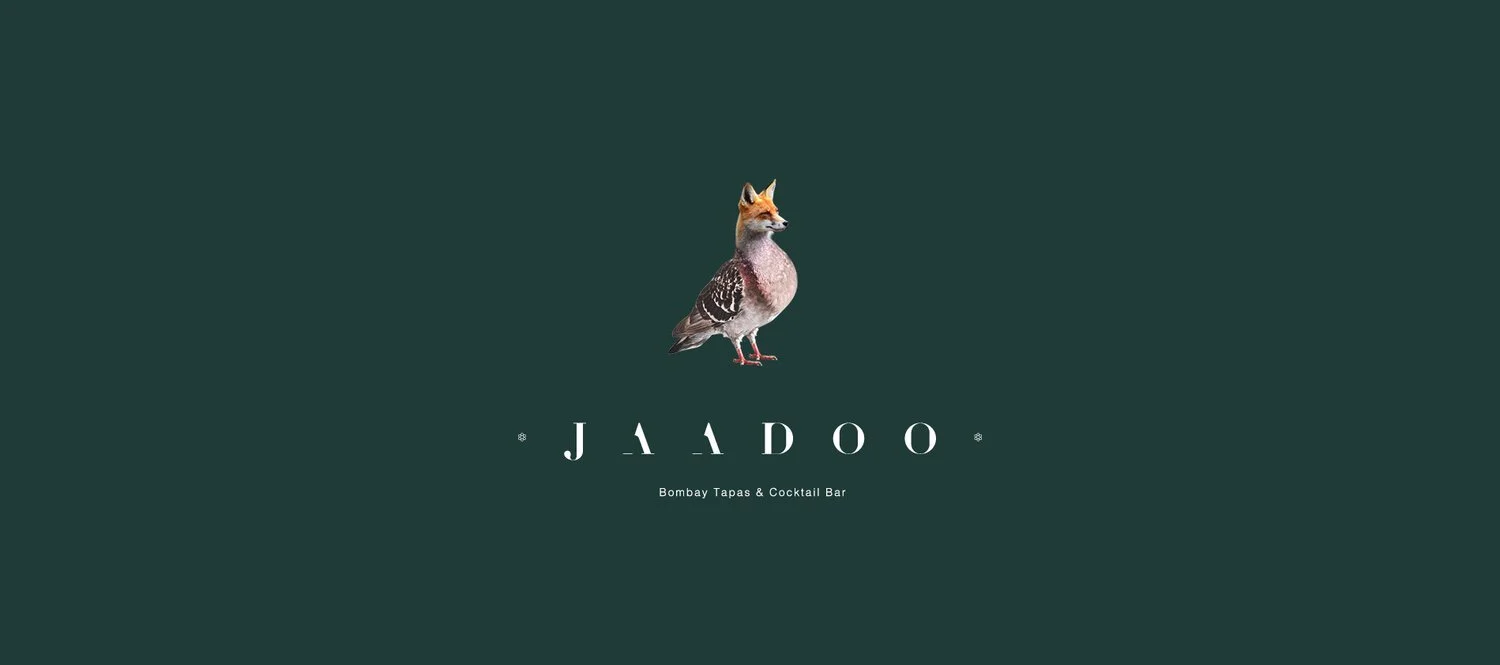JAADOO+_+brand+development+_+1407164.jpg
