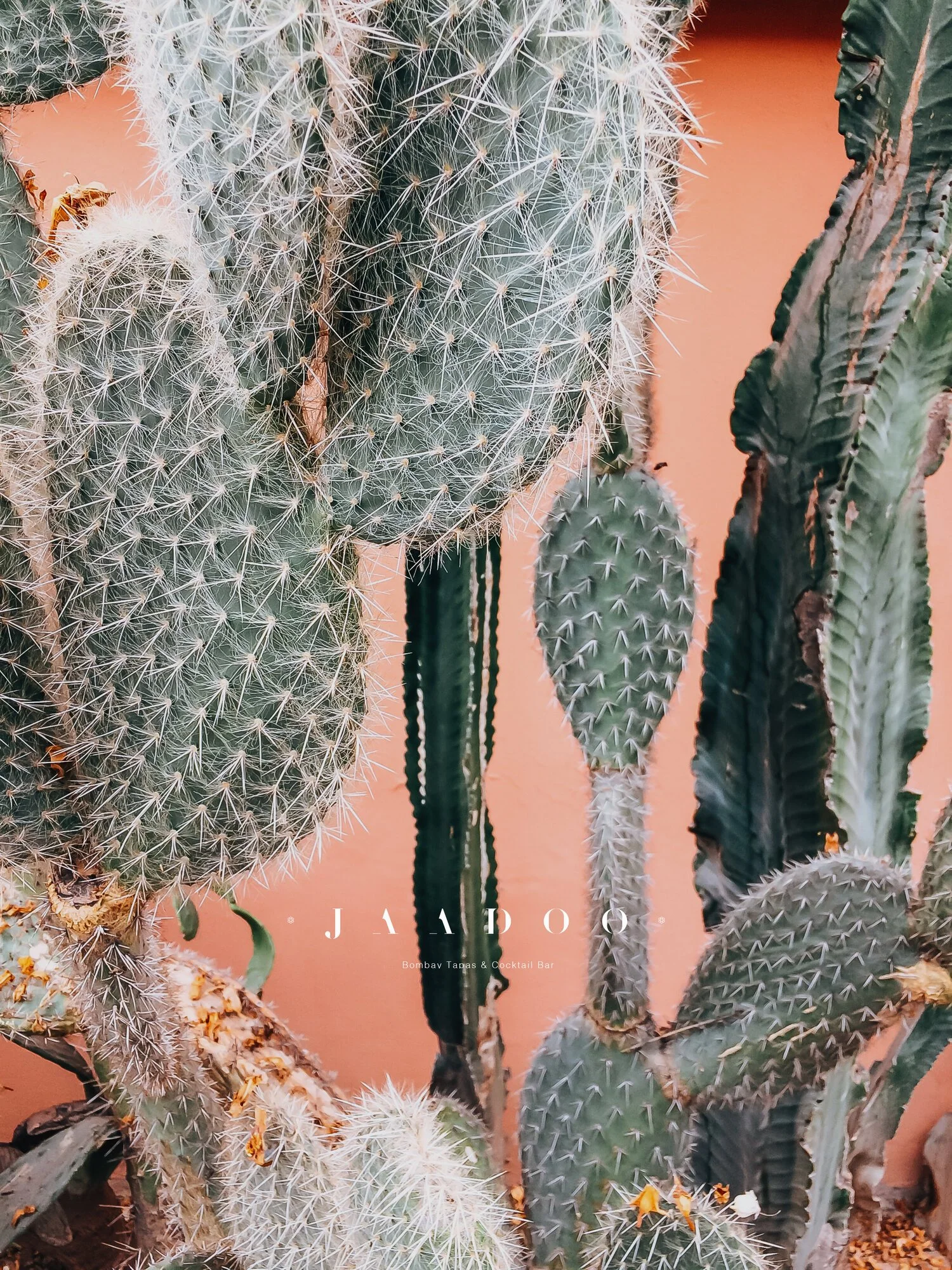 lucy-joy-1286496-unsplash.jpg