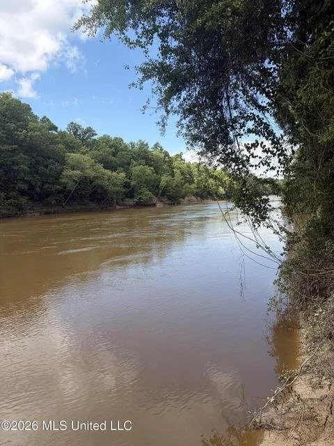 NEW! 1.36 Acres Ann Hinton Rd, Beaumont, Mississippi