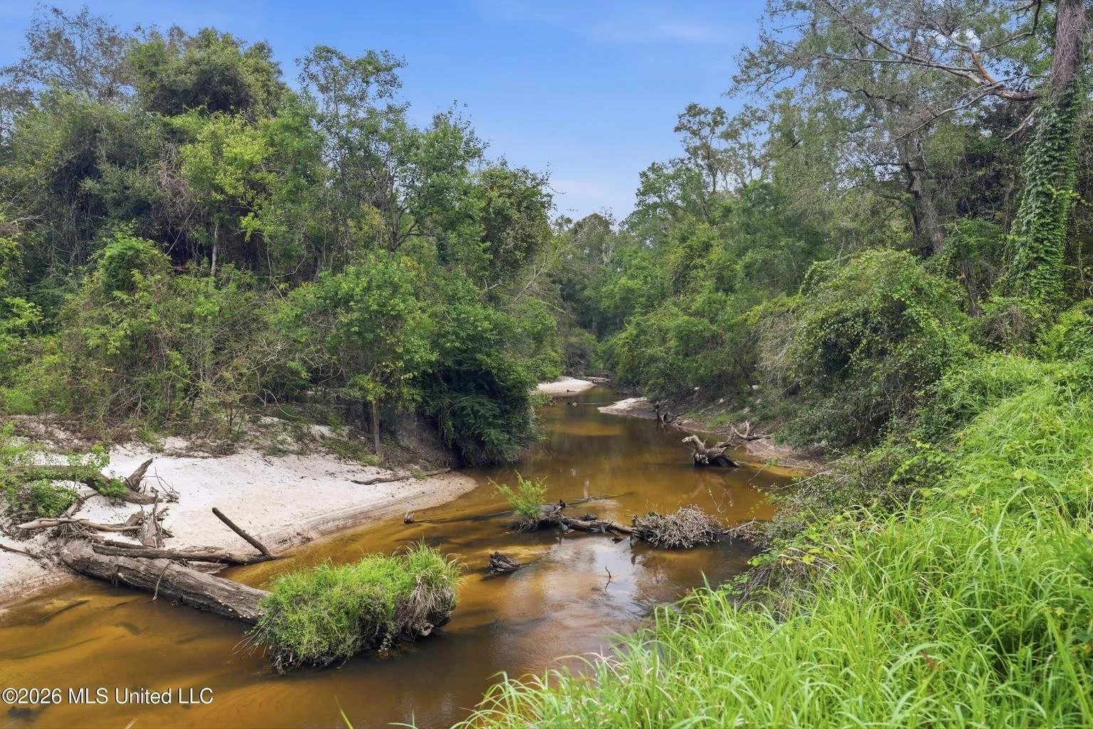 beautiful brick on with 4 bedrooms and 2 bathrooms with a lot of space and has 2.5 acres and a creek that runs behind the house located in george county mississippi and lucedale mississippi