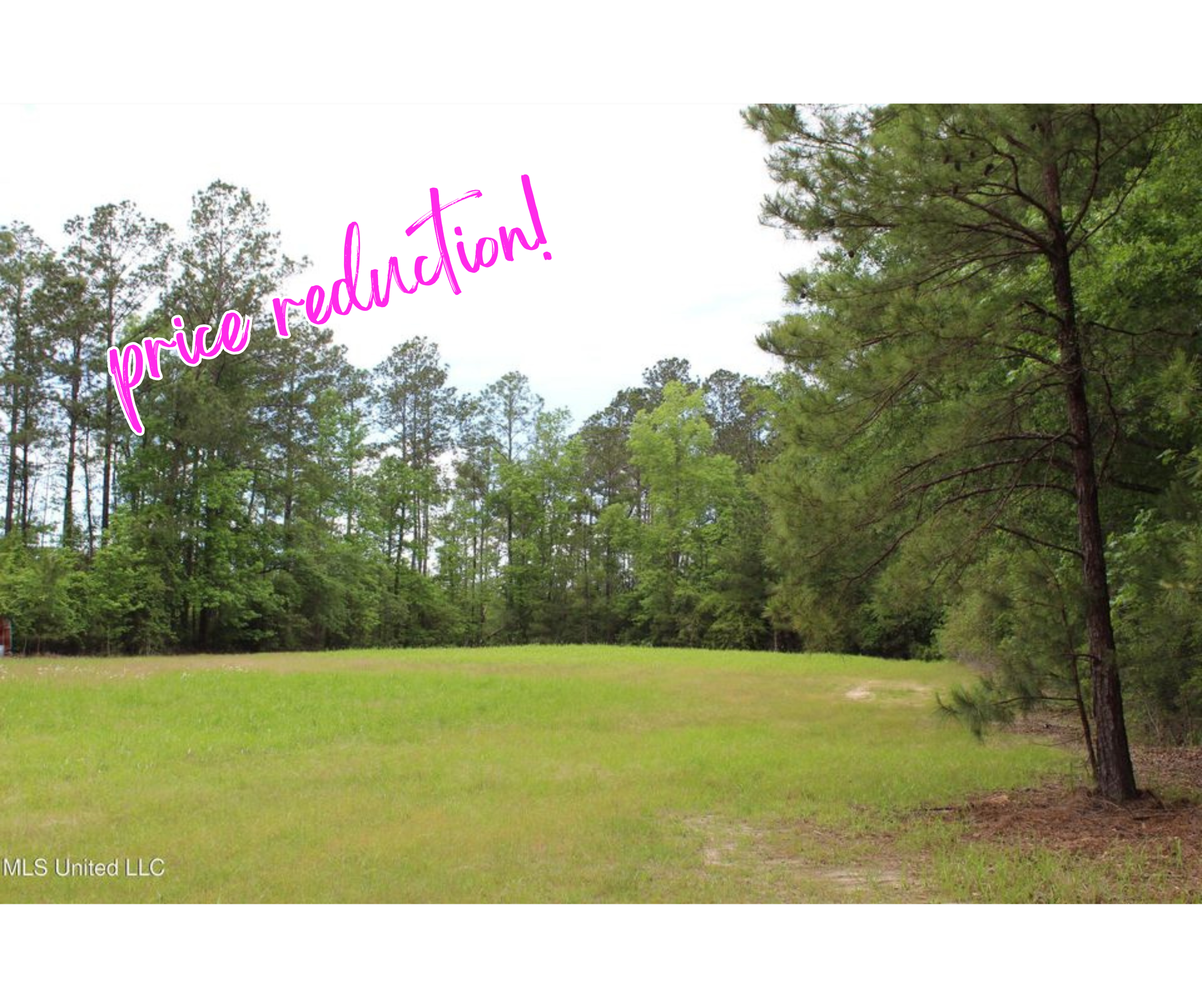 87.6 Acres, Rousanville Rd, Greene County, MS