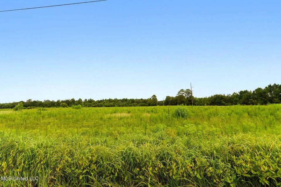 29 Acres, Hwy 613, Lucedale, MS