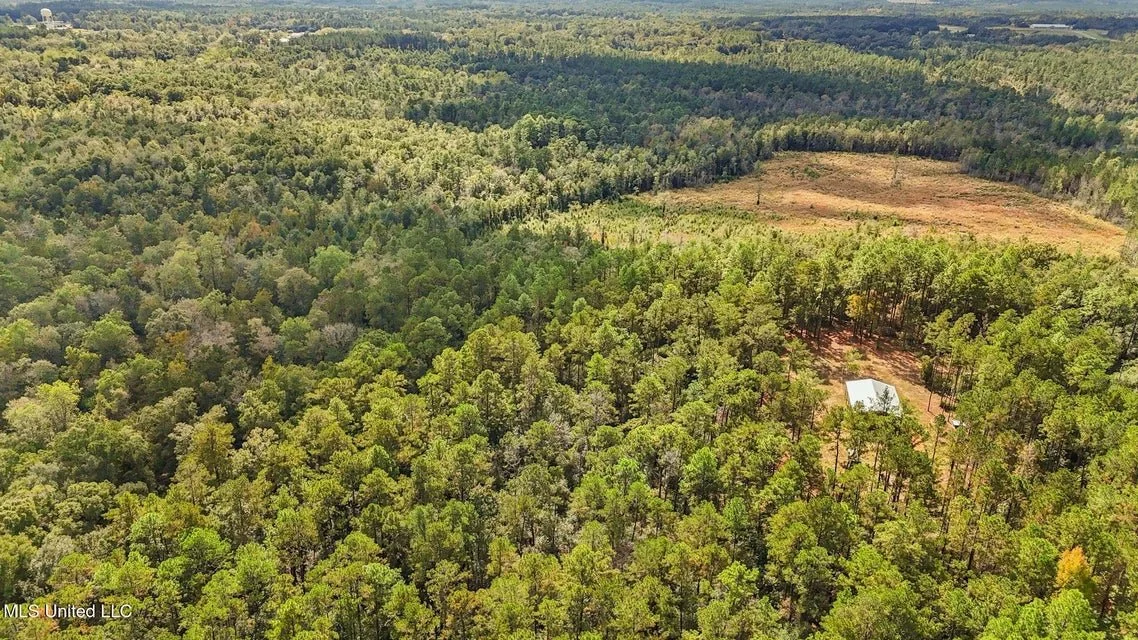 35 Acres, Richard Reeves Rd. Lucedale, MS 