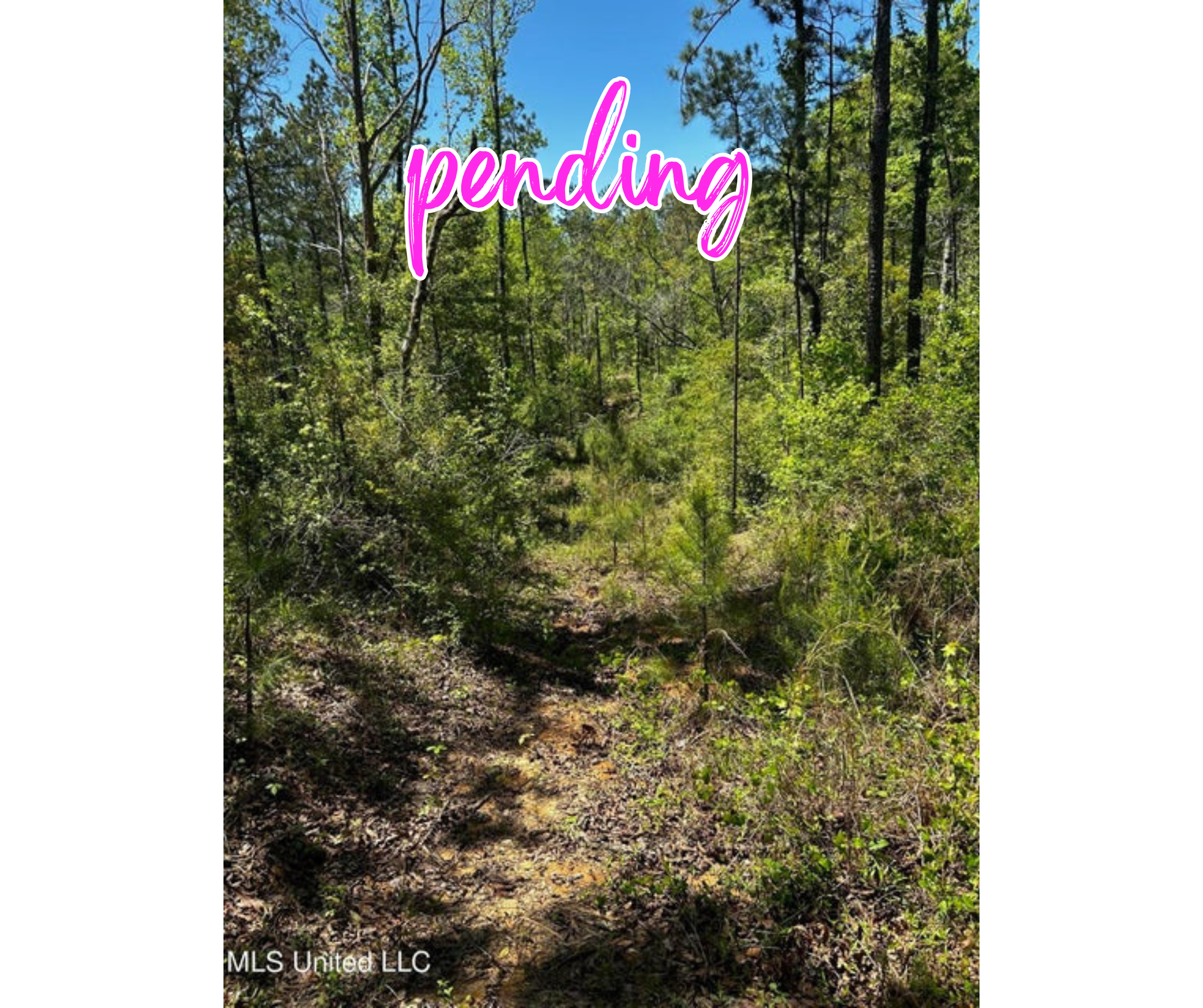 98.5 Acres, Crossroads Merrill Rd, Lucedale, MS