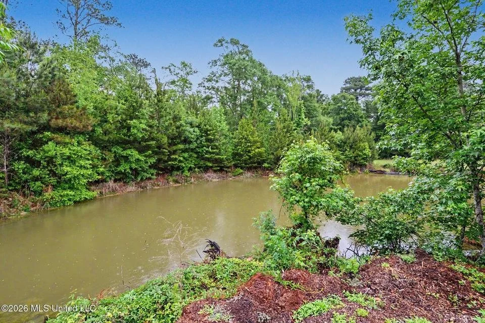 Home for sale in Lucedale. Home for sale in George County. Home on the river in Lucedale with a raised porch and stairs, surrounded by a grassy yard and trees, with a small shed on the left and bird feeders hanging from trees.
