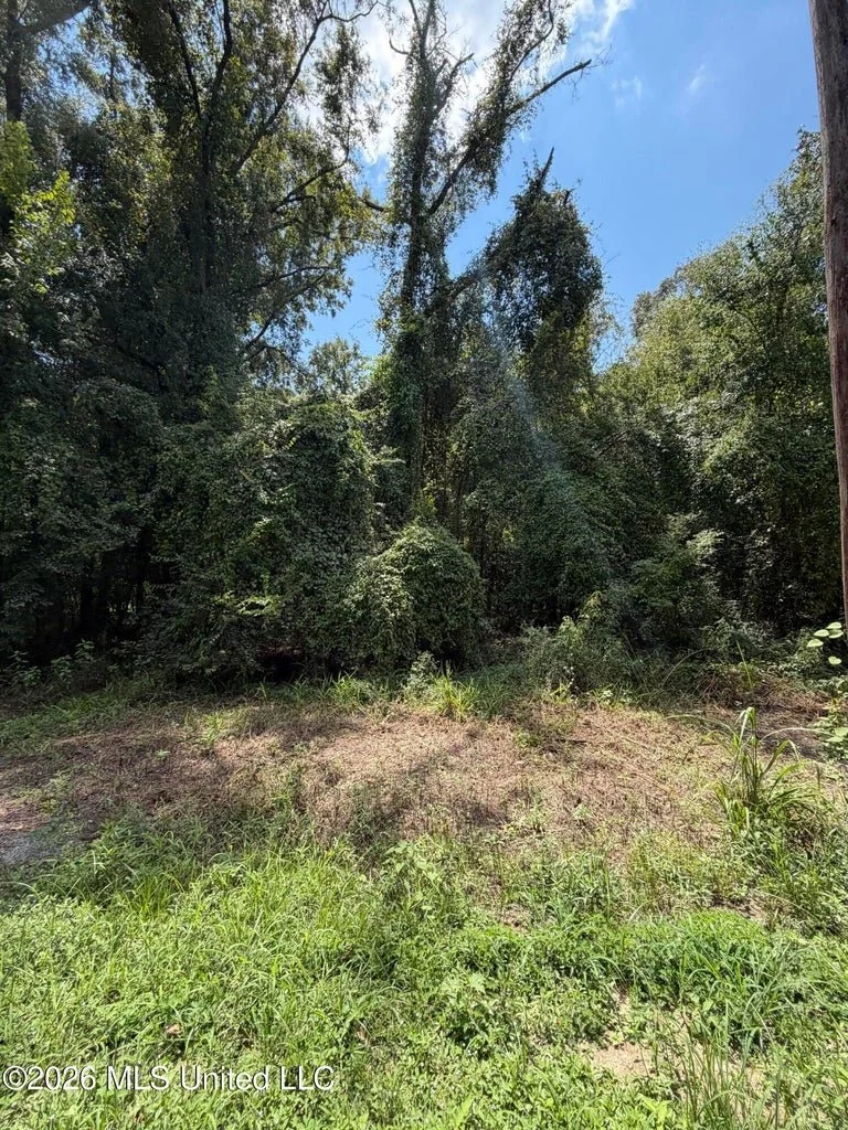 NEW! .31 Acres Pascagoula River Dr, Lucedale MS 