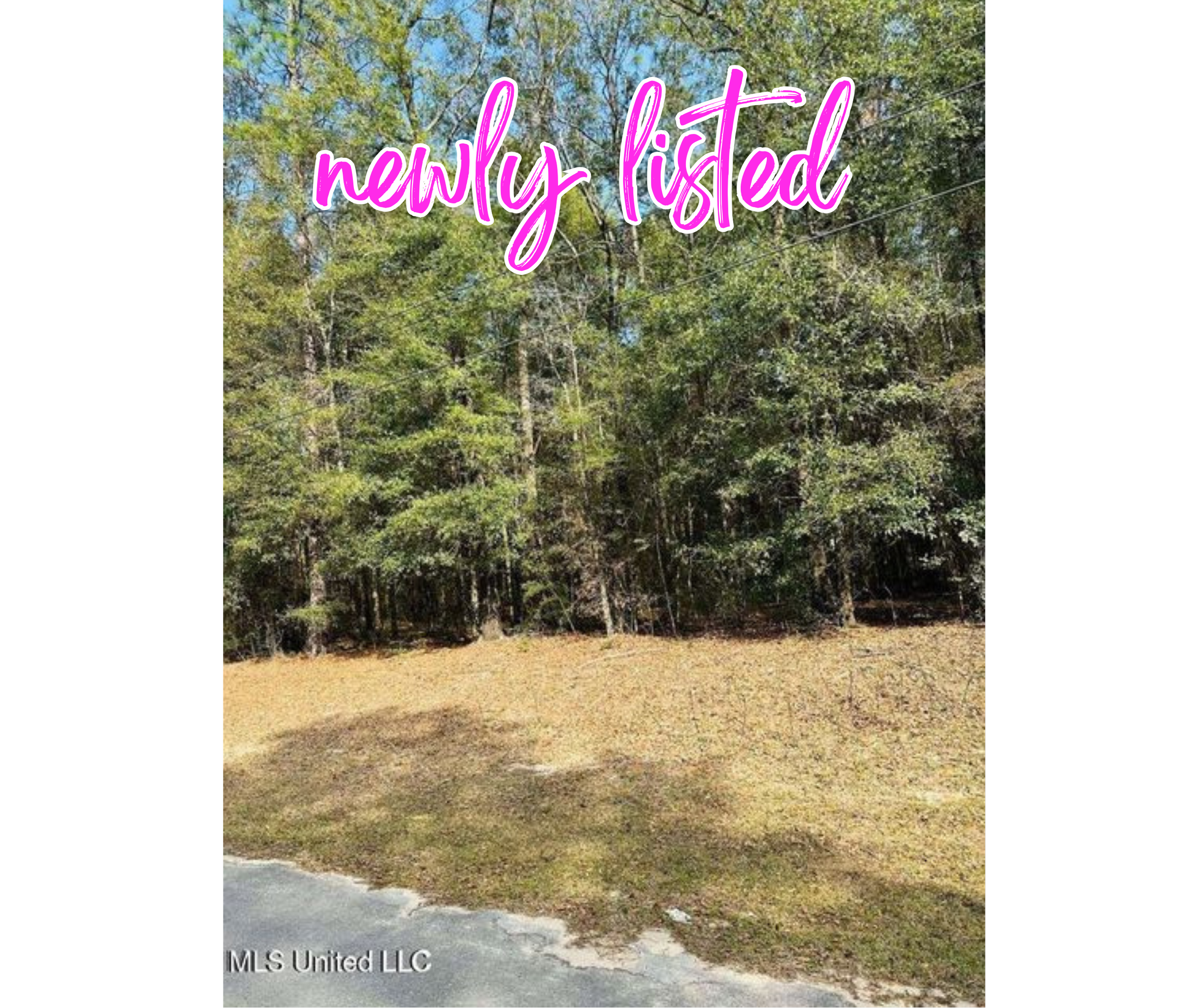 1.0 Acre, Oakhaven Dr, Lucedale, MS
