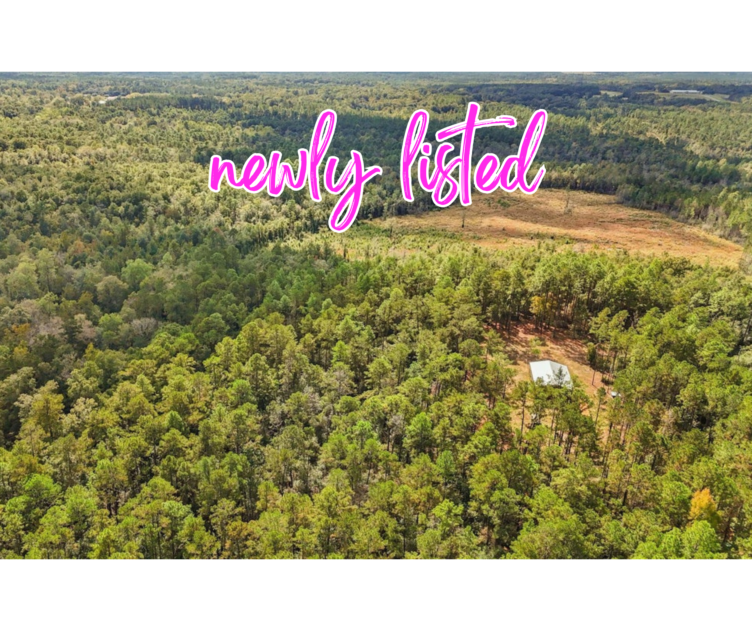 35 Acres Richard Reeves Rd, Lucedale MS 