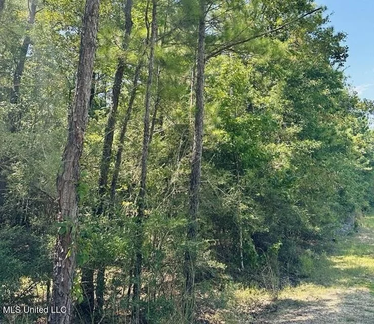 136 Acres, Moody Rd, Neely, MS