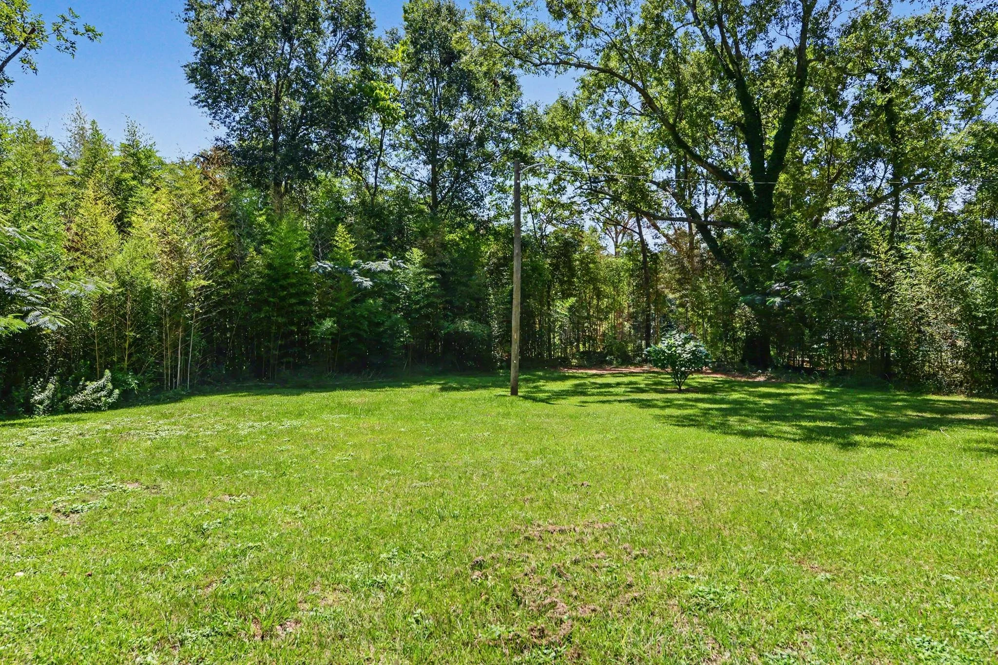 3 bedroom 2 bathroom house located in the city limits of lucedale olive green house  with green front yard brown shutters located in george county mississippi