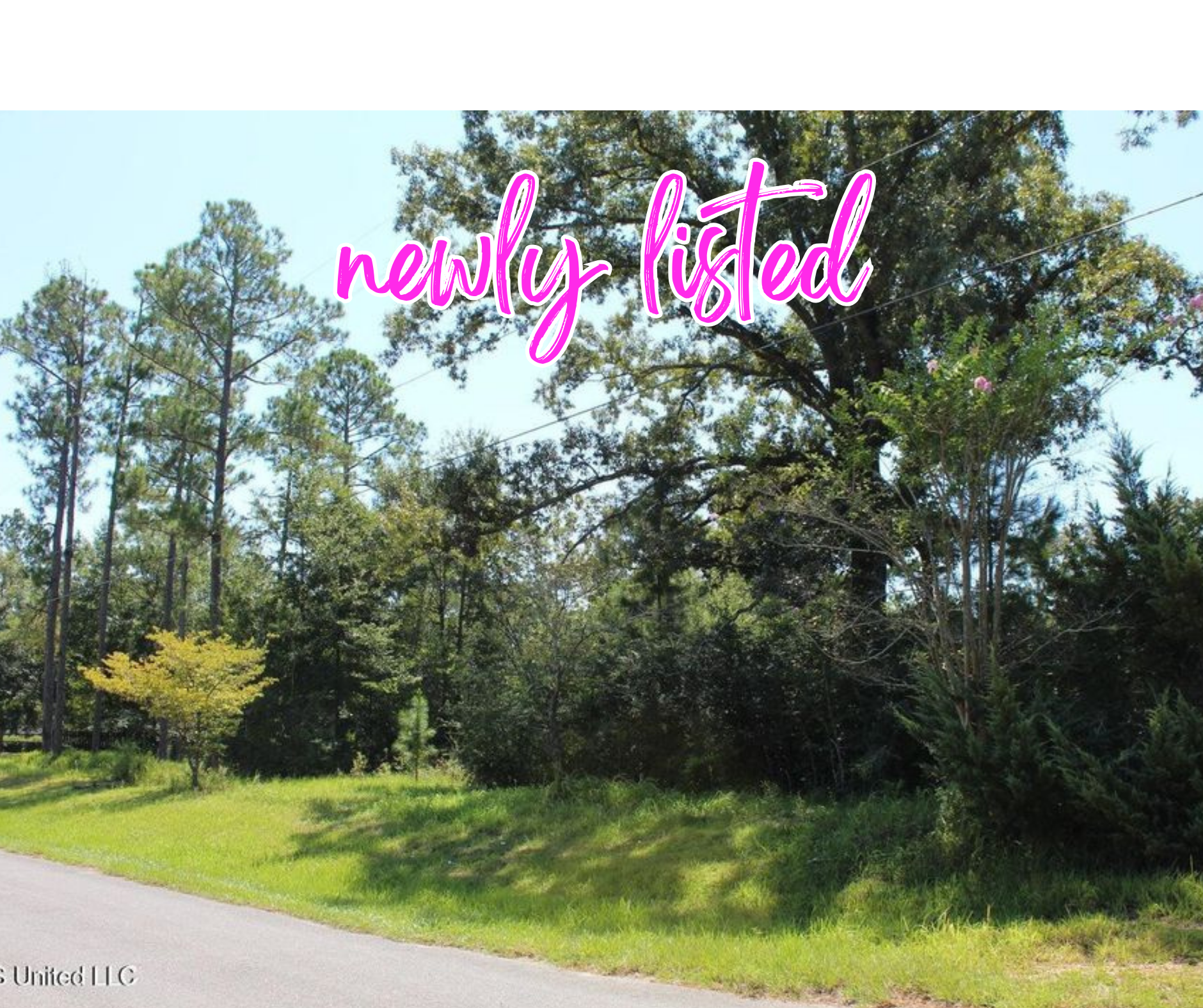 15.4 Acres, Lloyd Eubanks Rd., Lucedale, MS