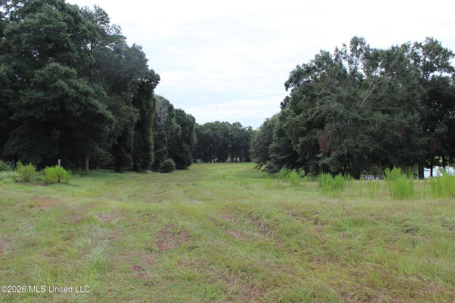 NEW! 14.8 Acres, Country Oak Circle (Jackson County, East Central School District)