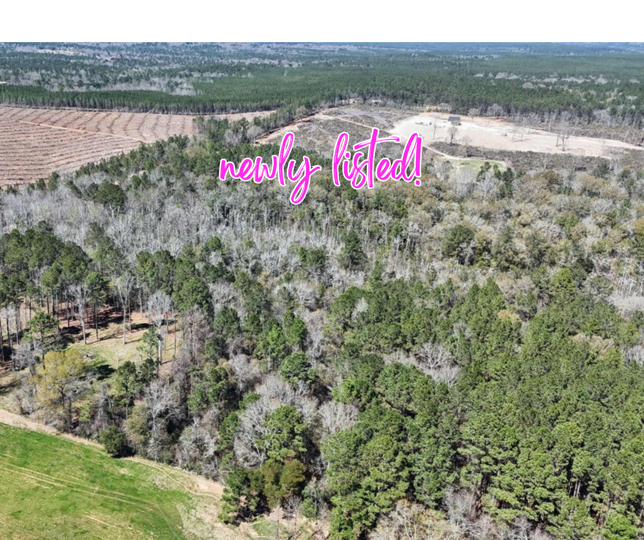 21.8 Acres, Flournoy Rd, Lucedale MS