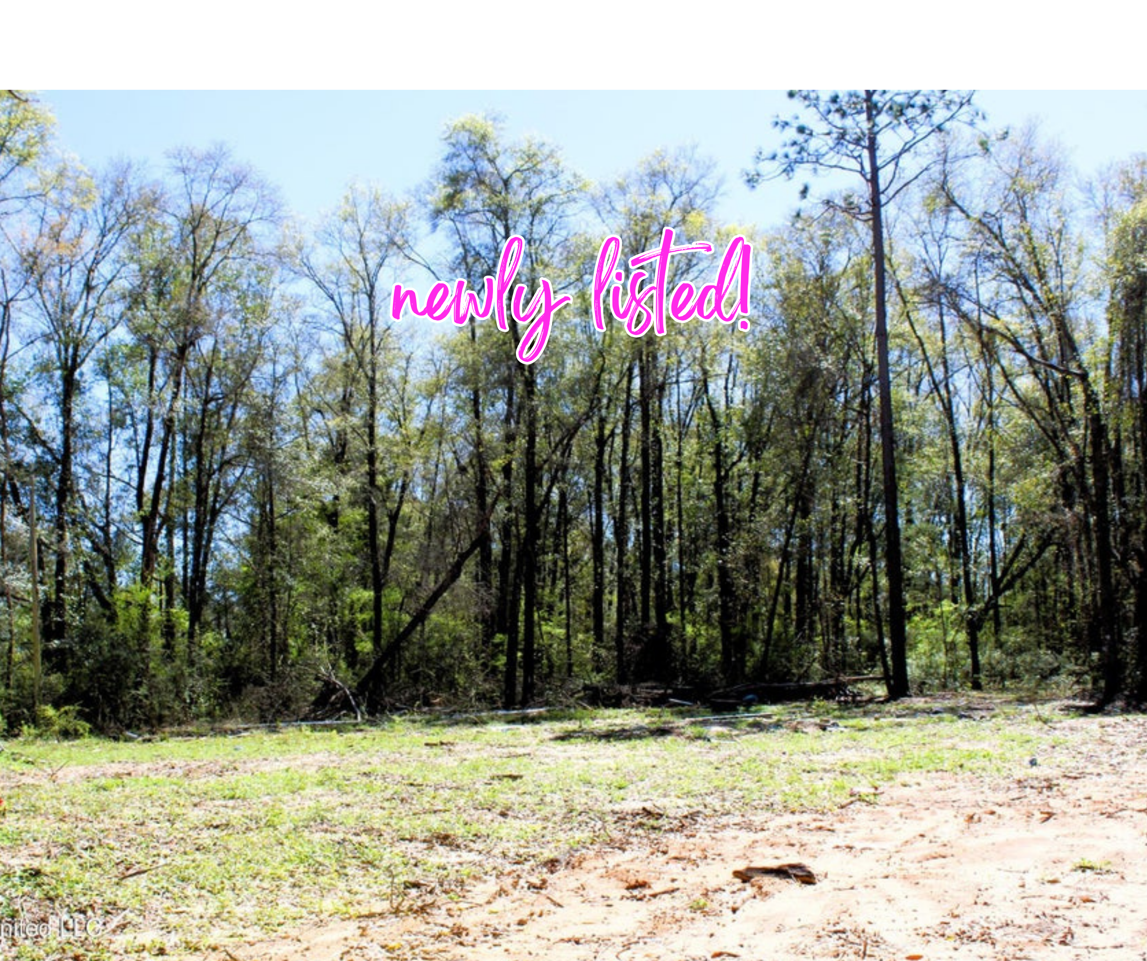 1.7 Acres, Oakhaven Dr, Lucedale, MS 