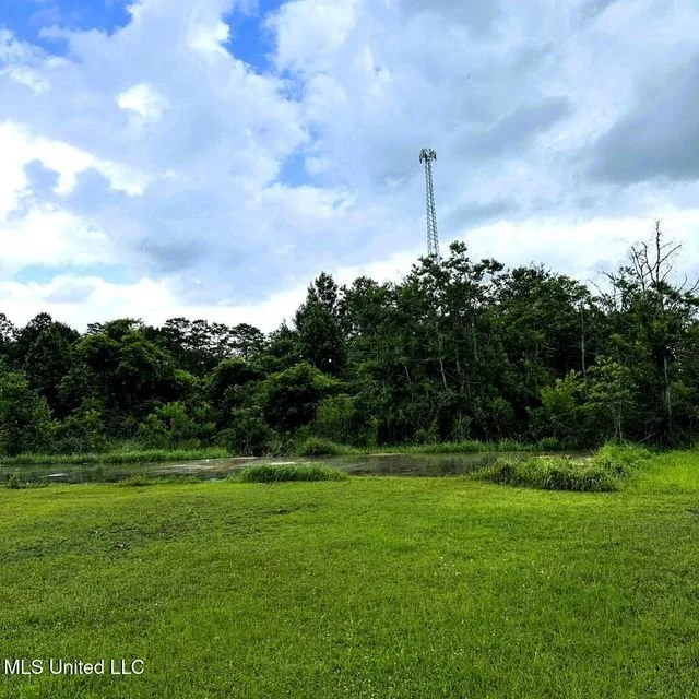27 Acres, Brinkman Rd, Moss Point, MS