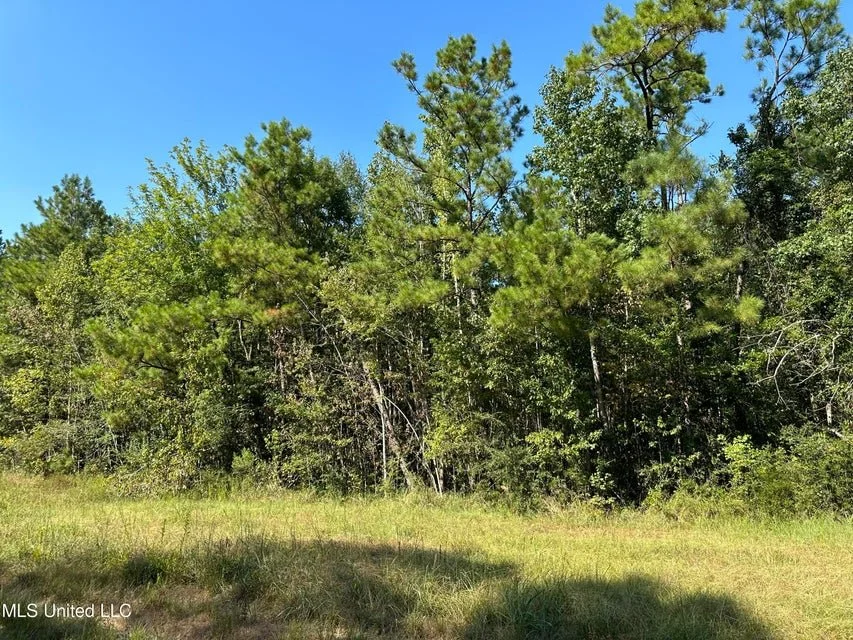 92.4 Acres, Crossroads Merrill Rd, Lucedale MS 