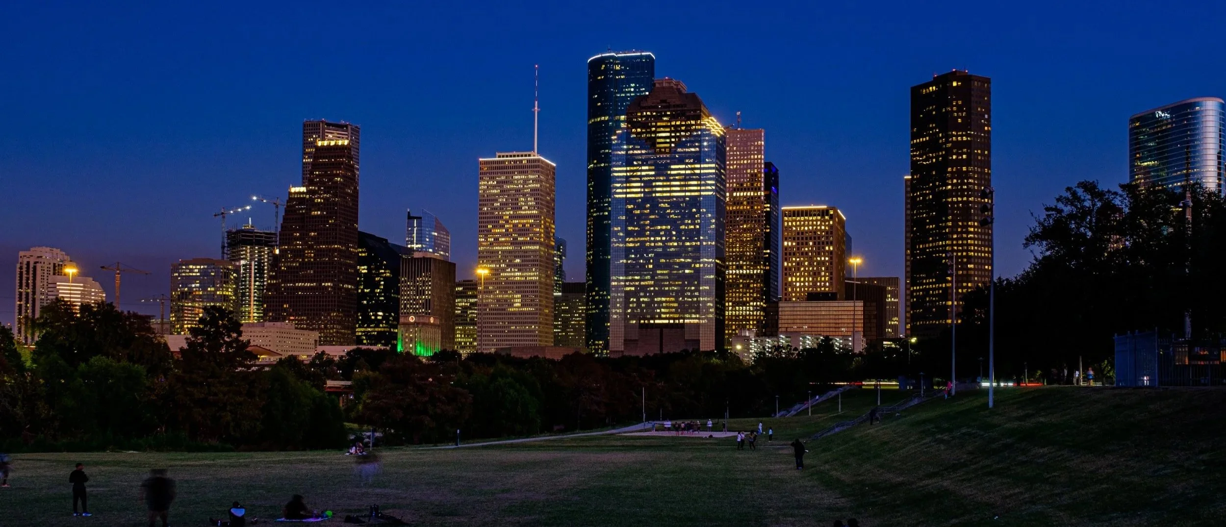 Houston view from Rice Campus